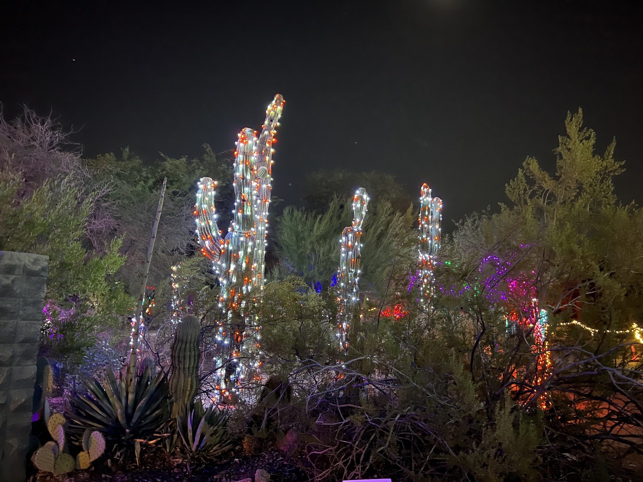 Zoo lights