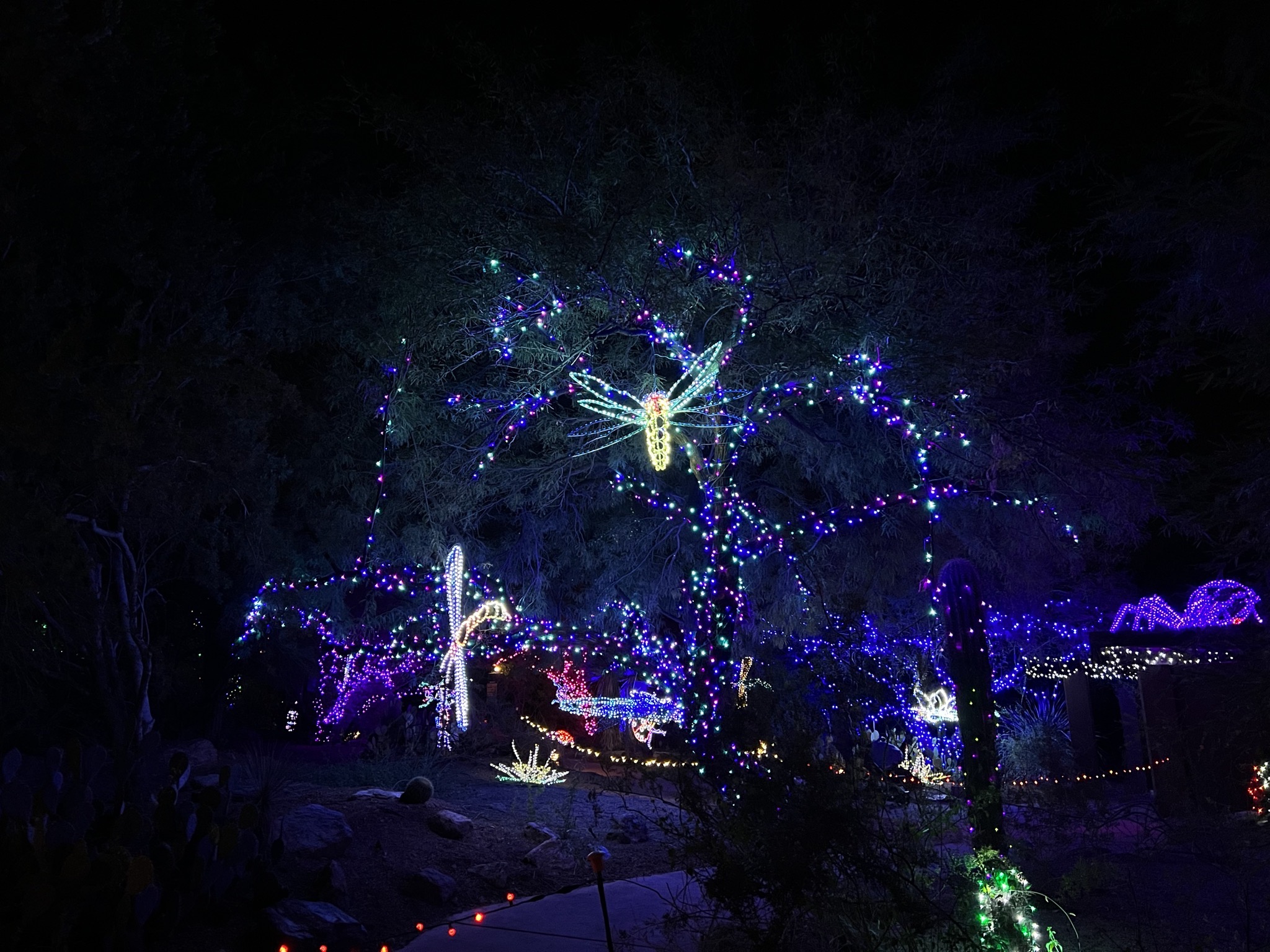 Zoo lights