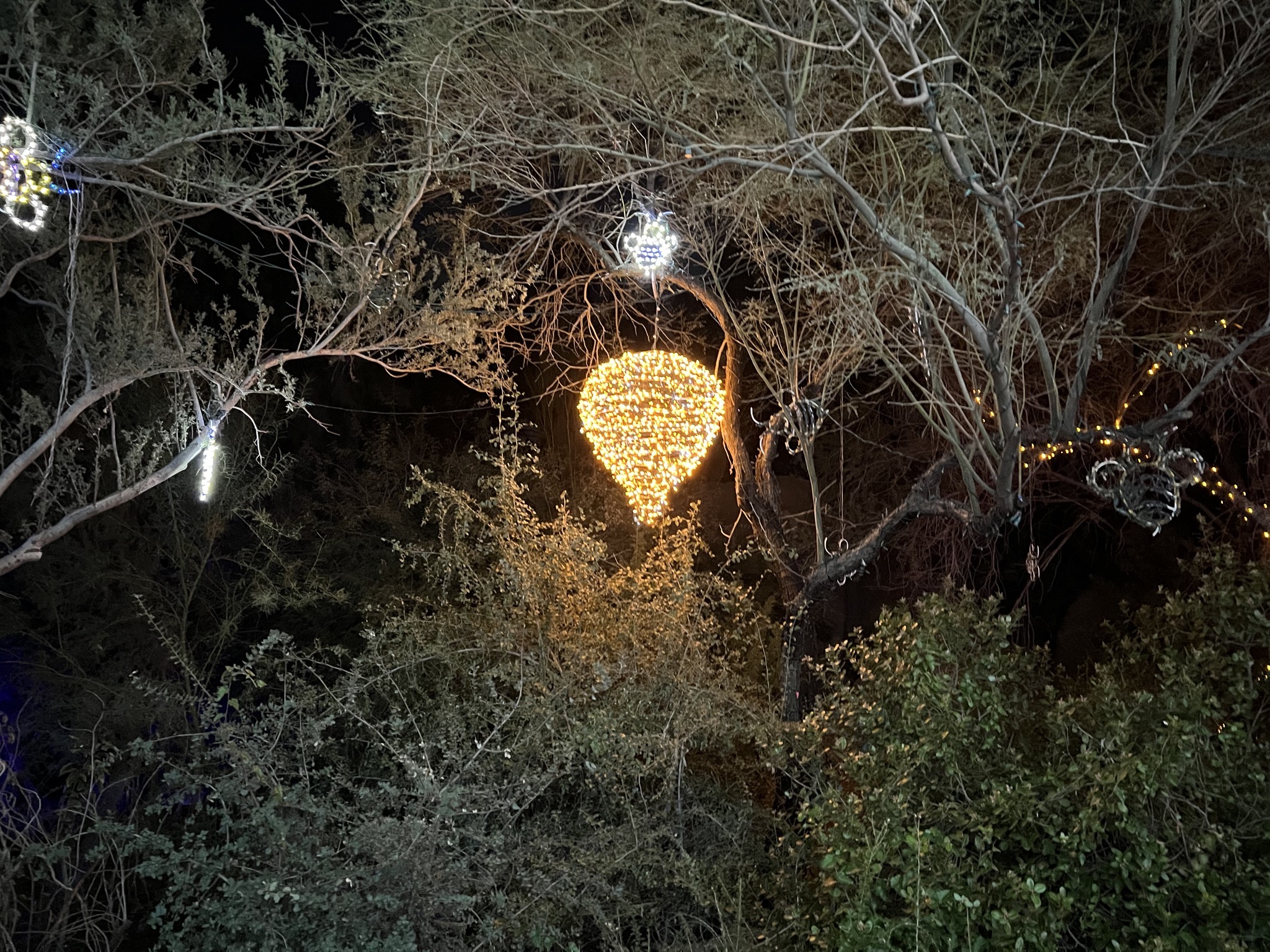 Zoo lights