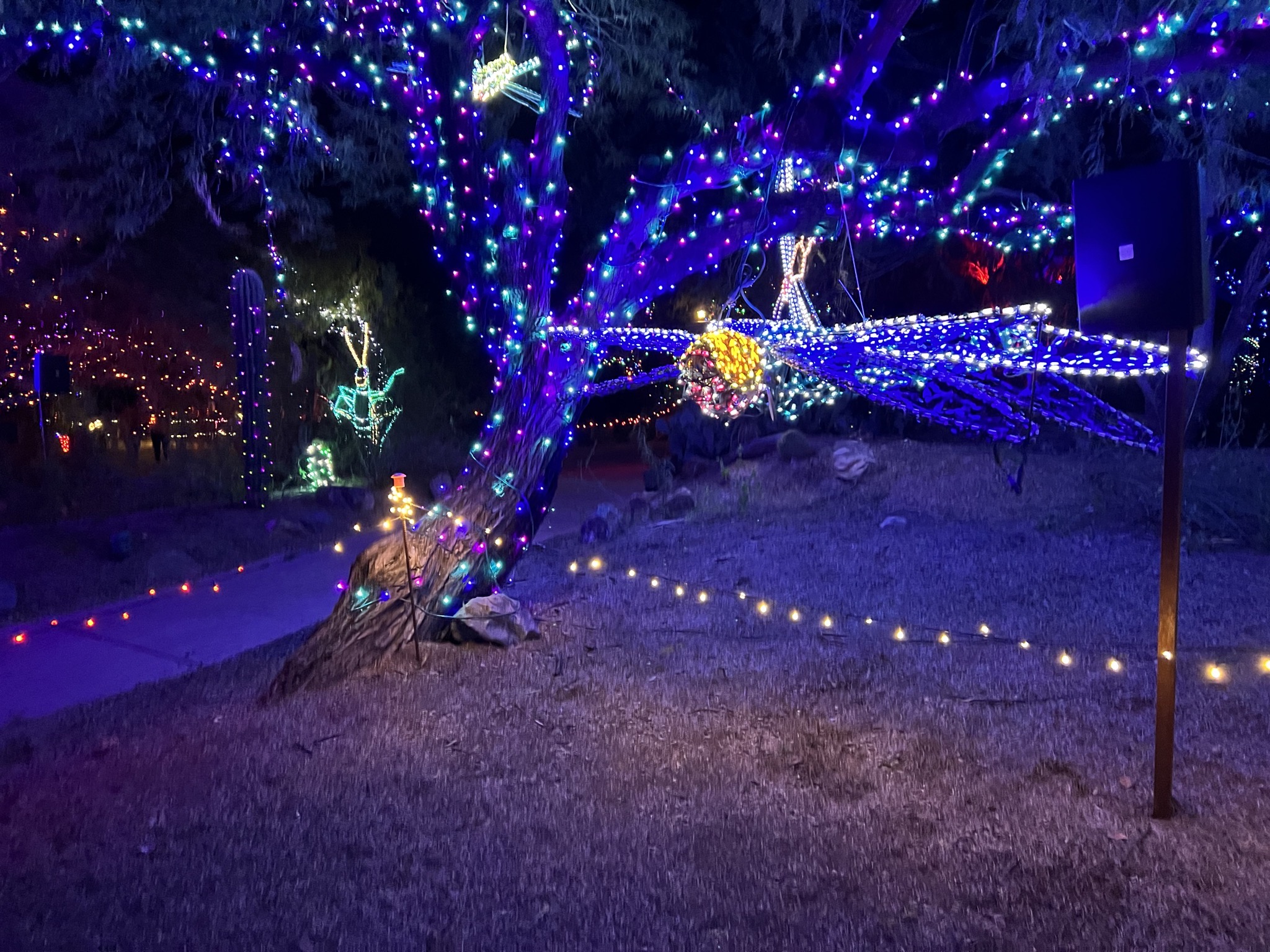 Zoo lights