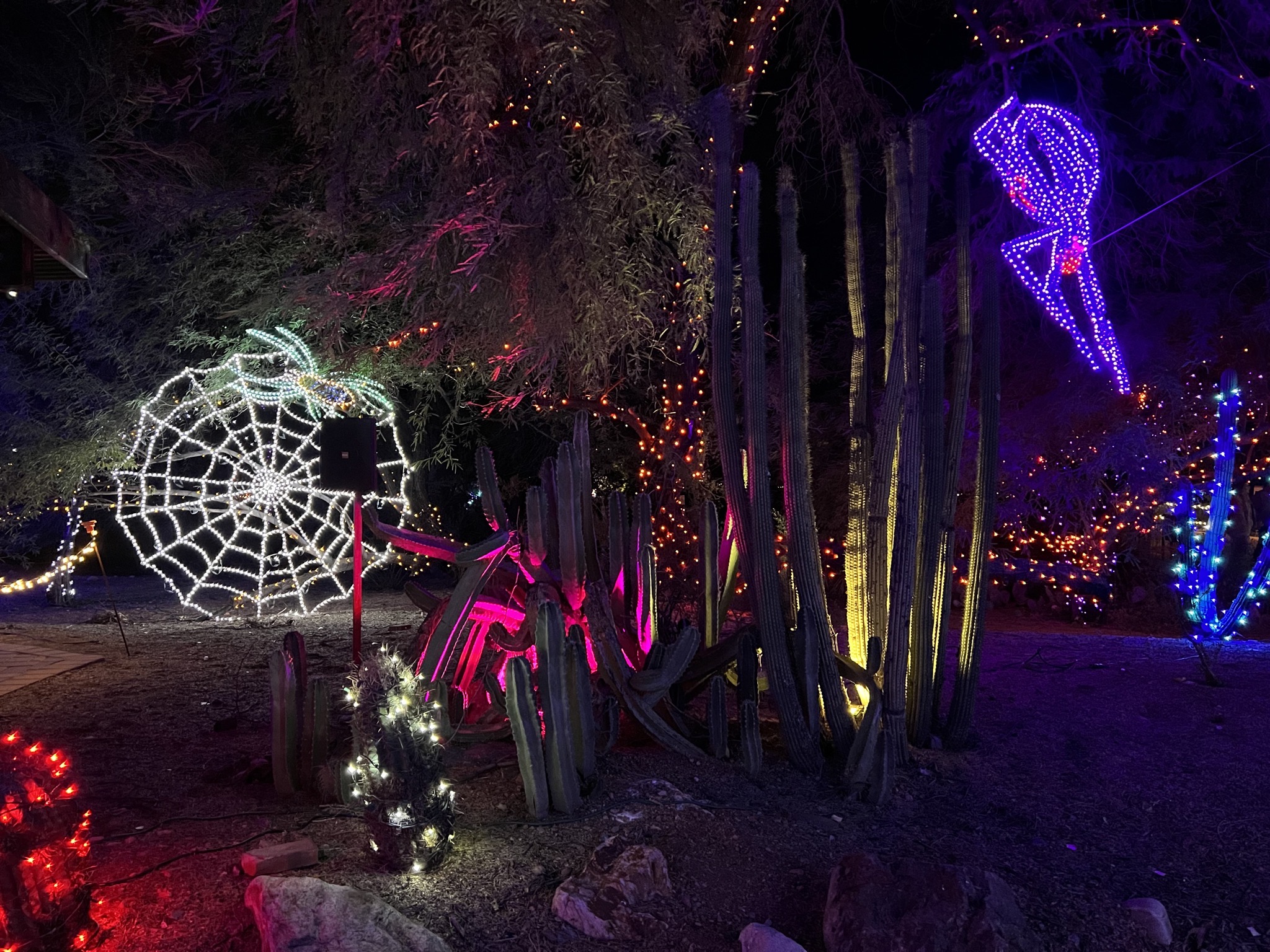 Zoo lights