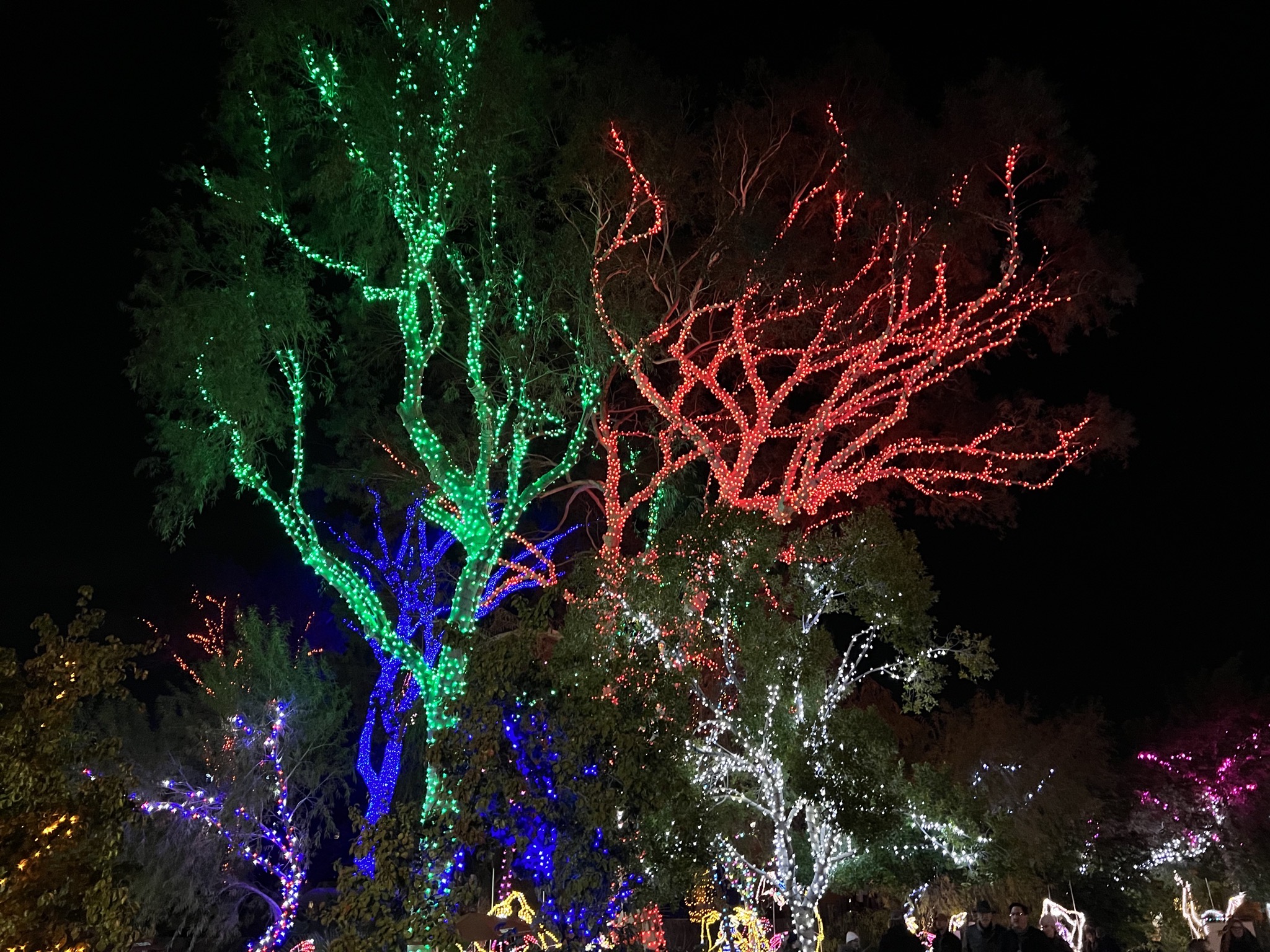 Zoo lights