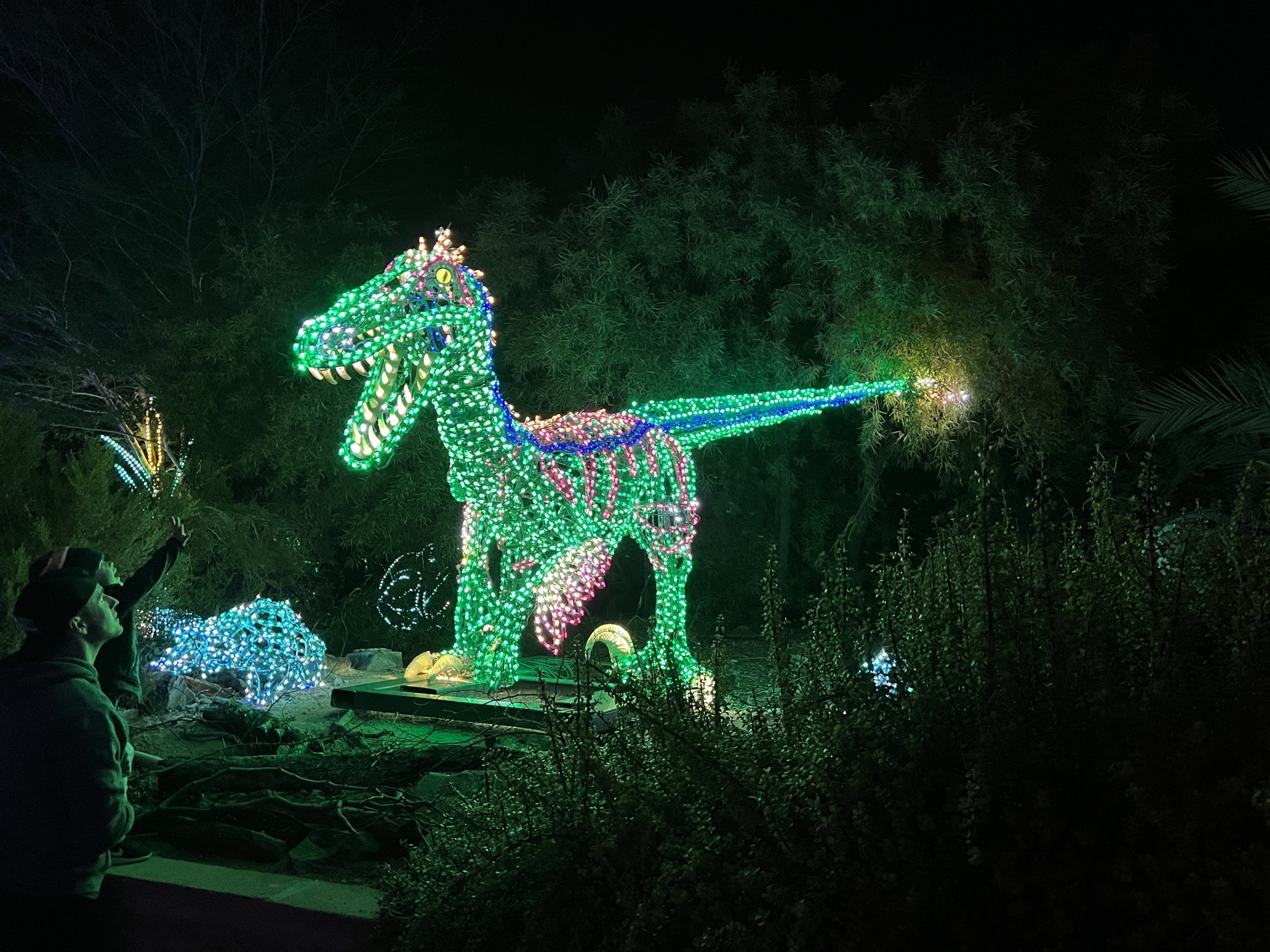 Zoo lights