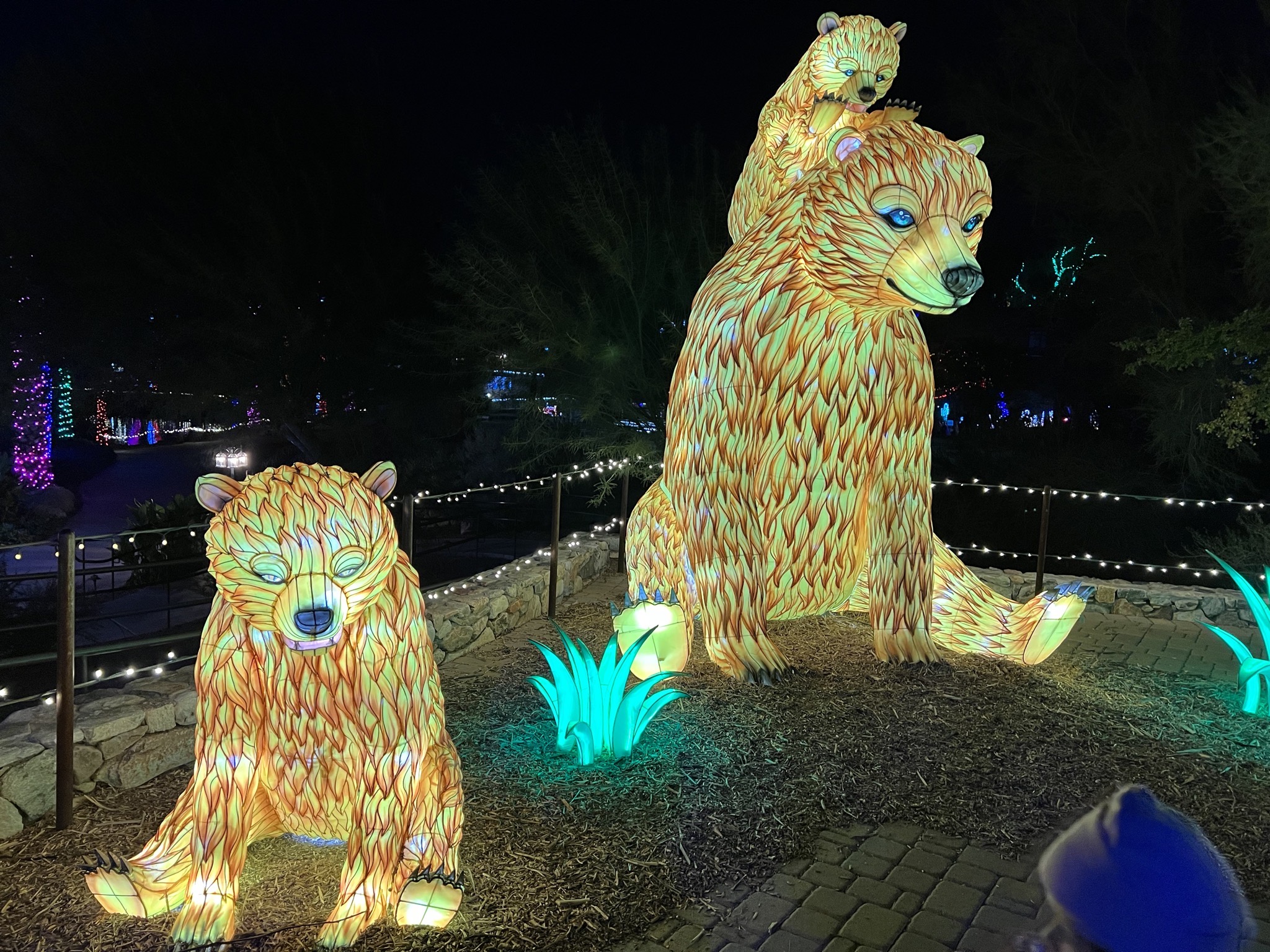 Zoo lights