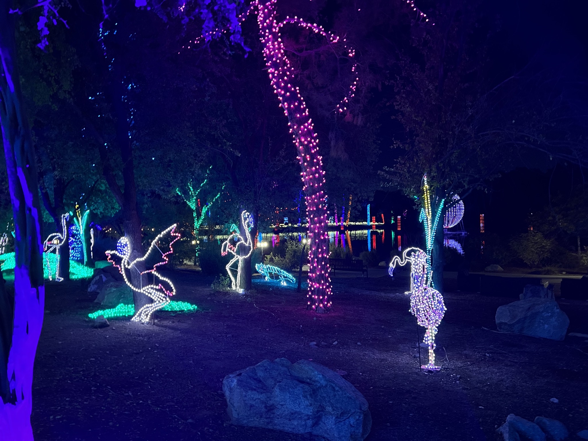 Zoo lights