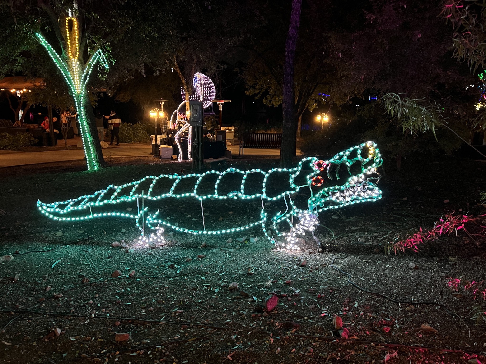 Zoo lights
