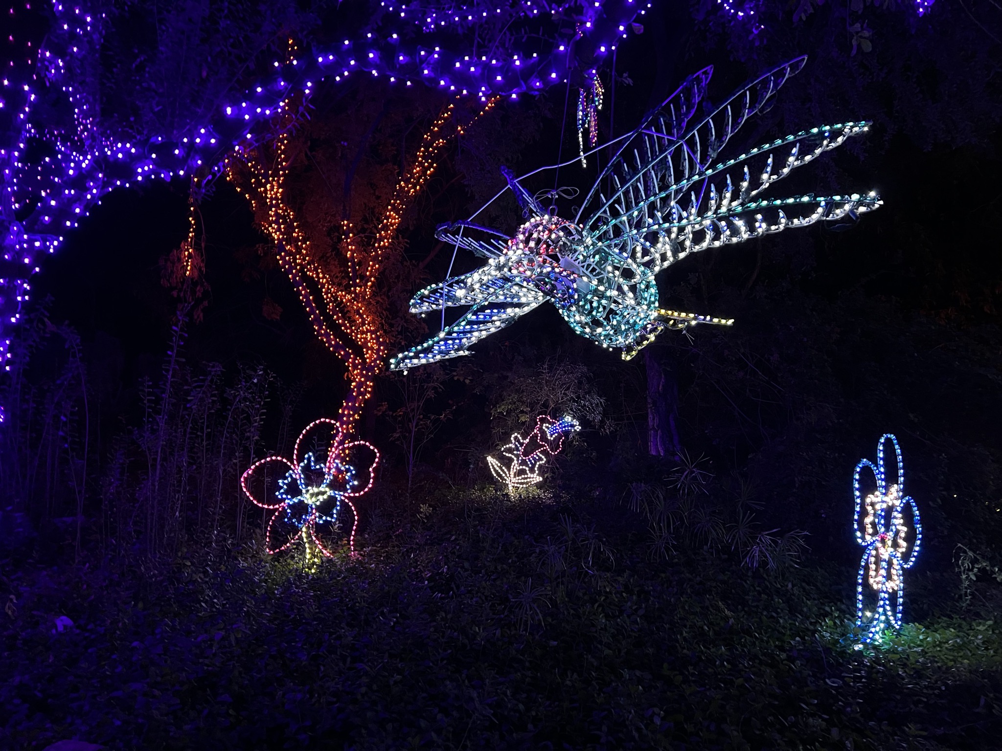 Zoo lights