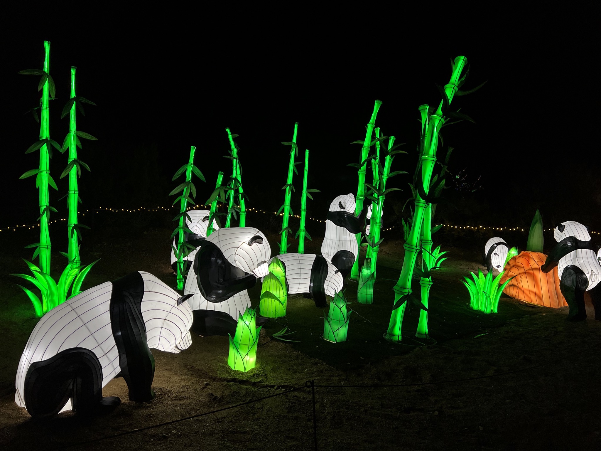 Zoo lights