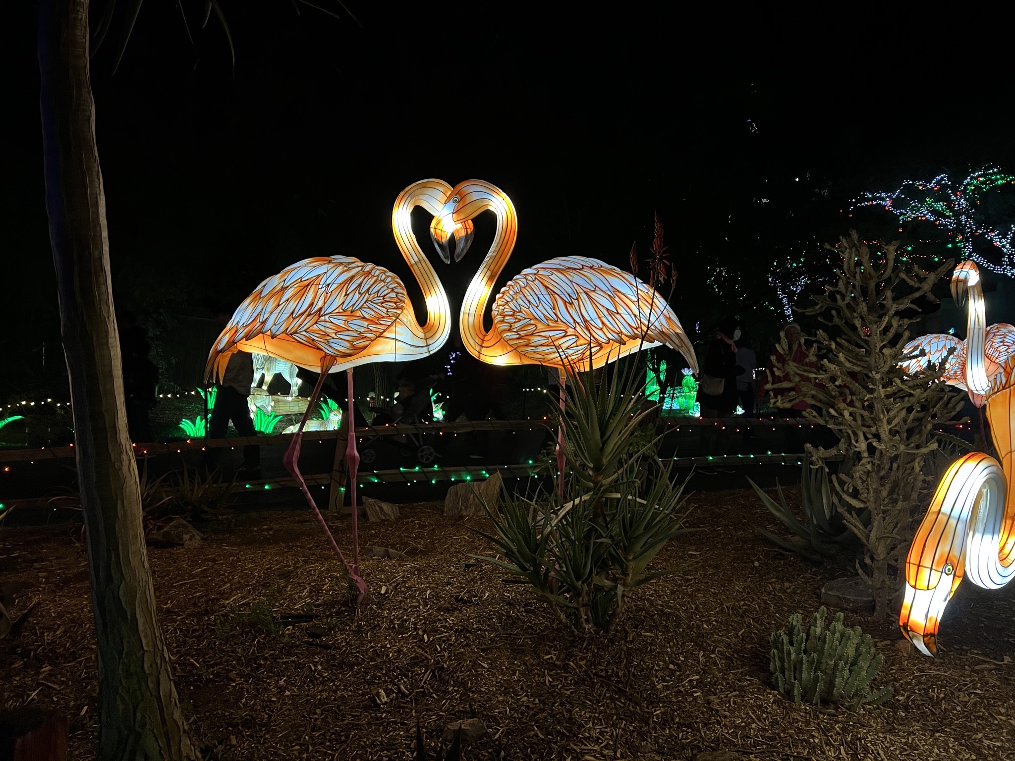 Zoo lights