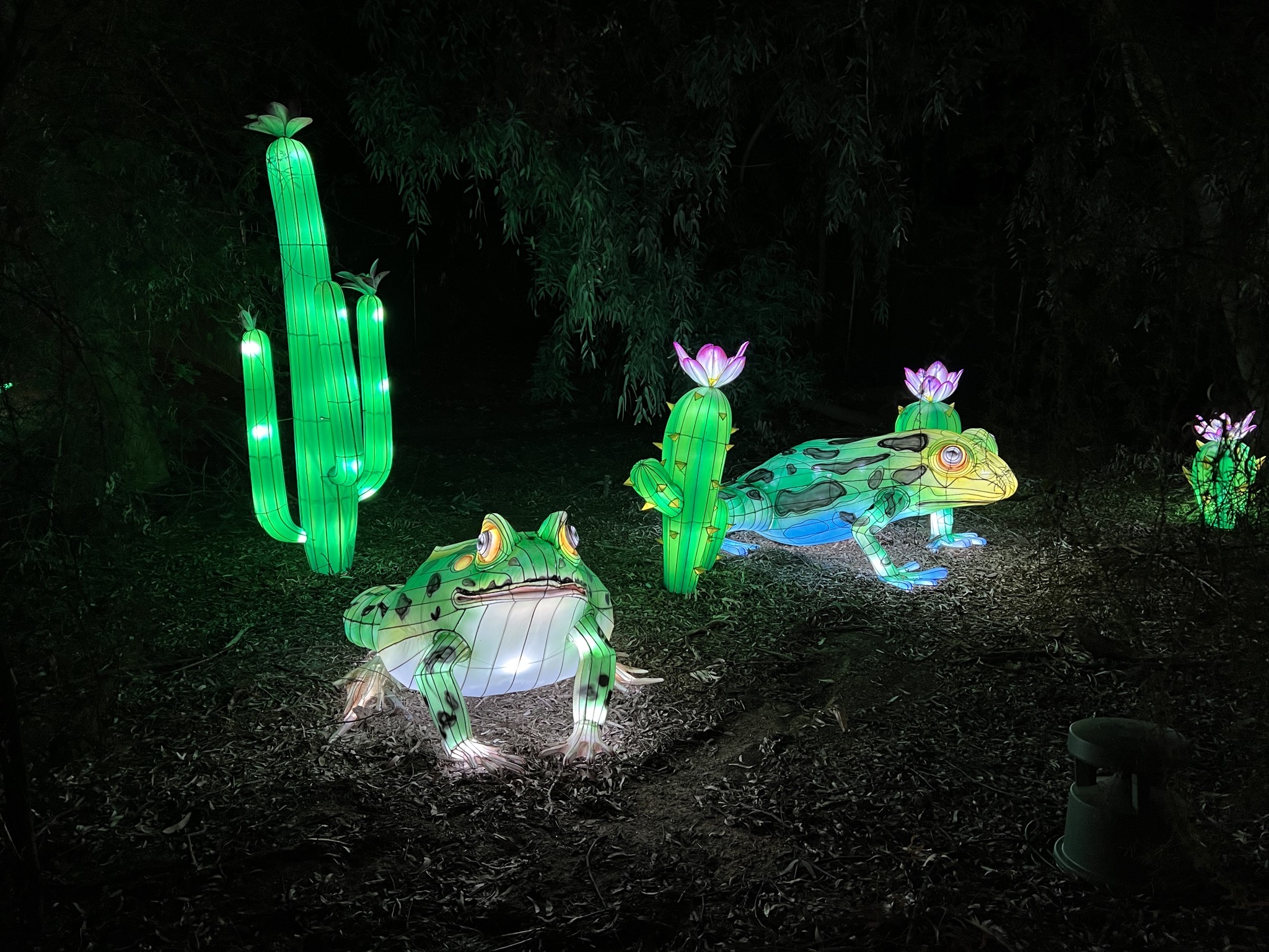 Zoo lights