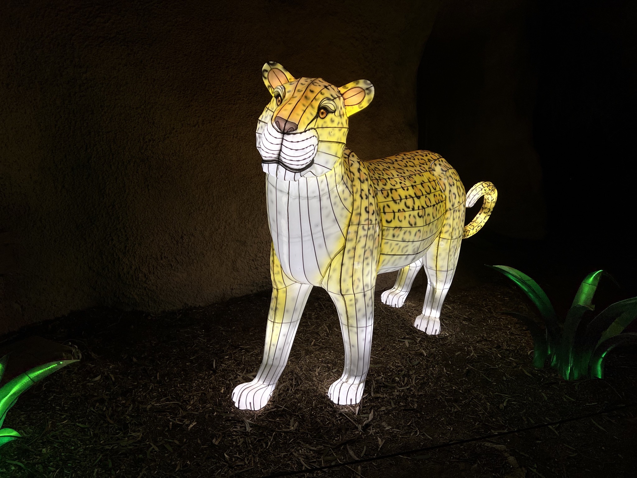 Zoo lights