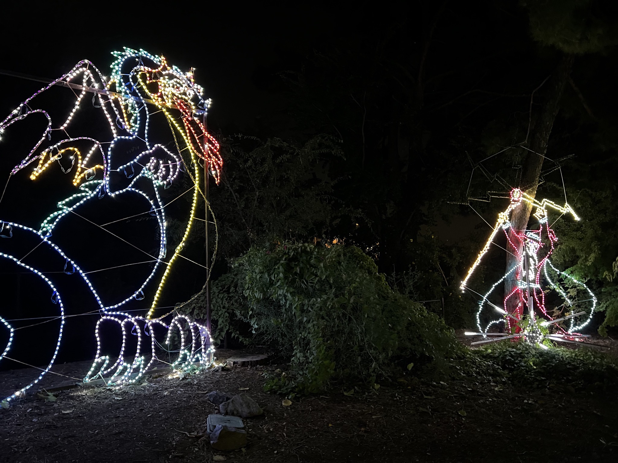 Zoo lights