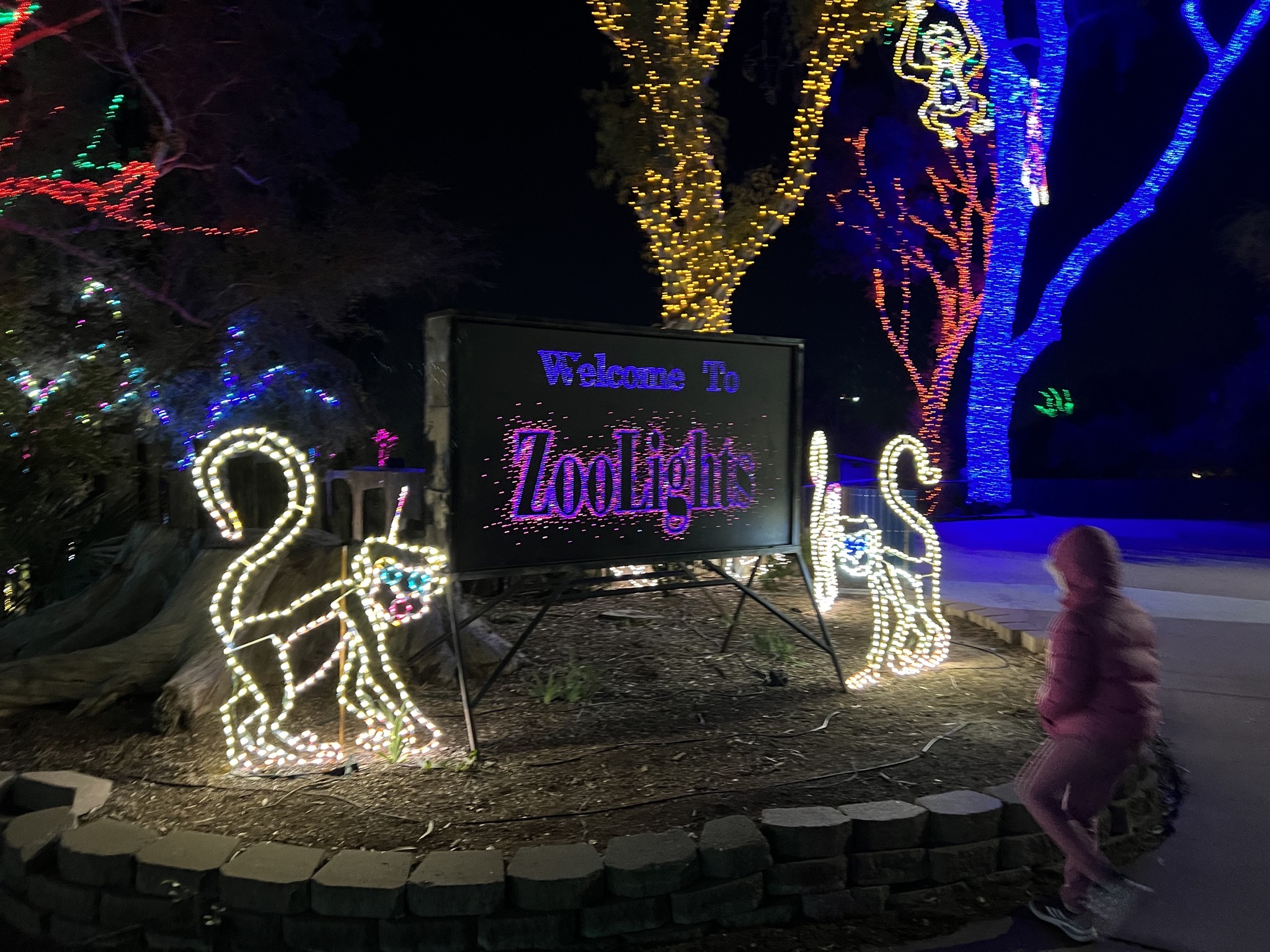 Zoo lights