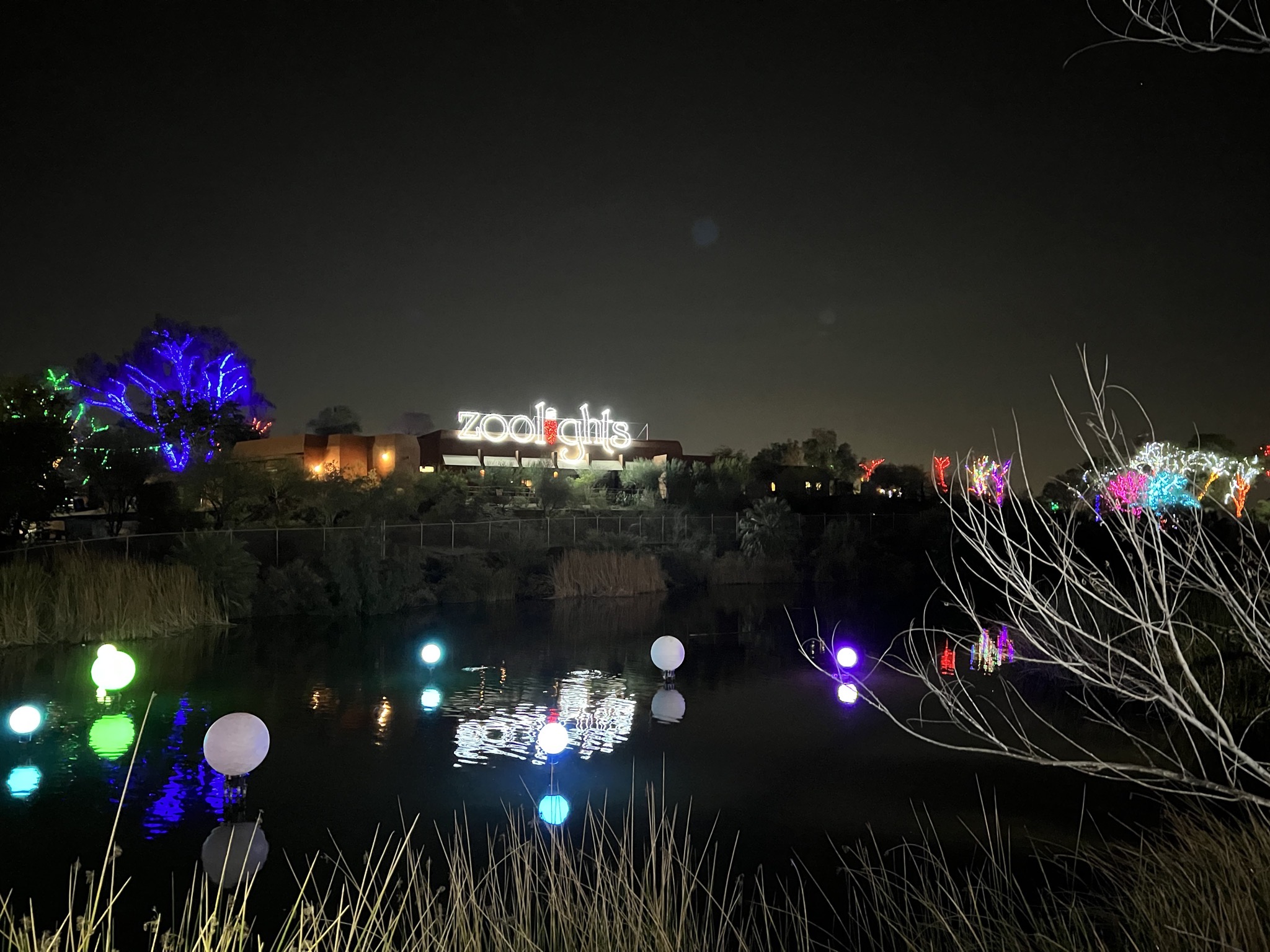 Zoo lights