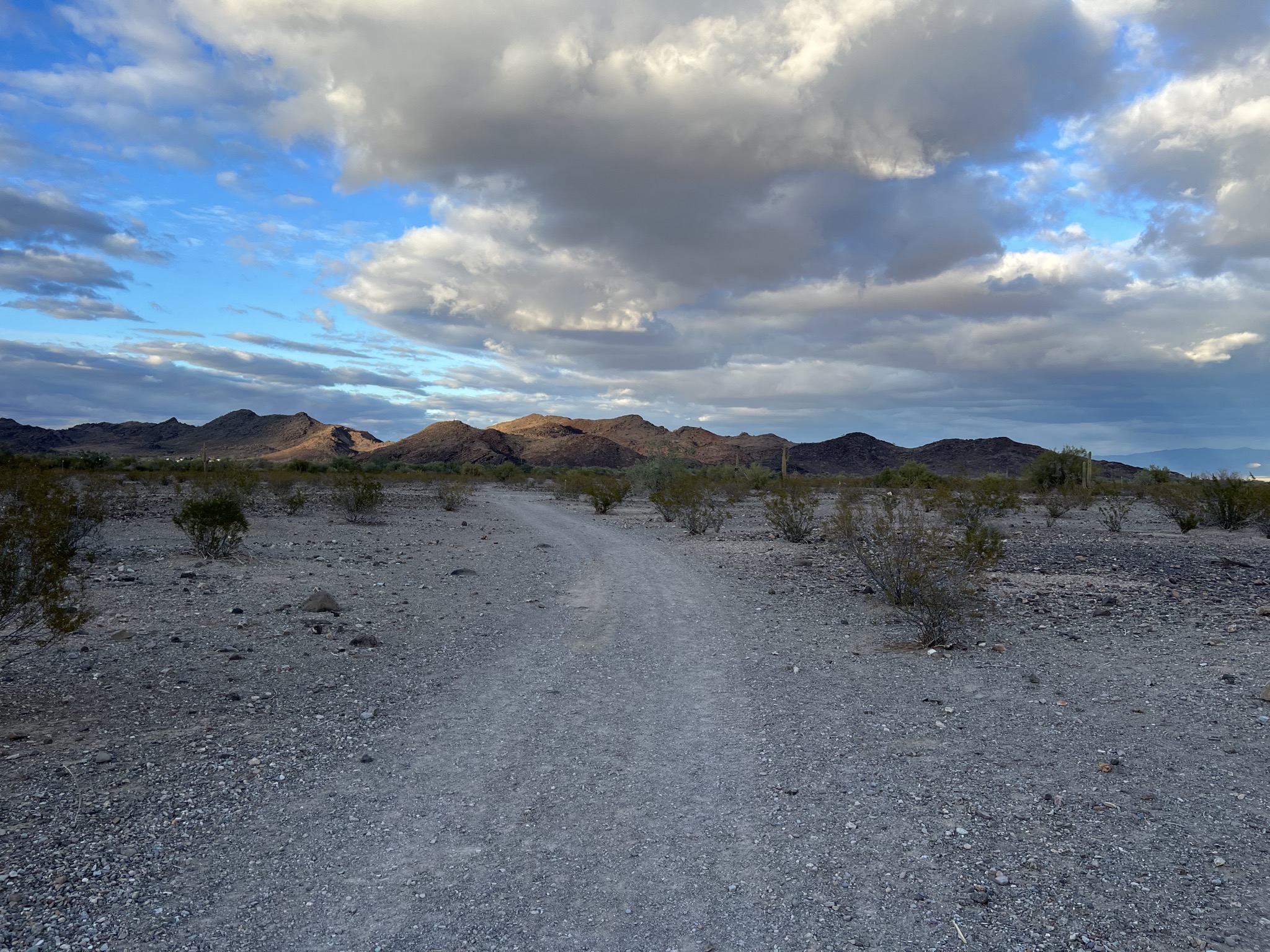 BLM land