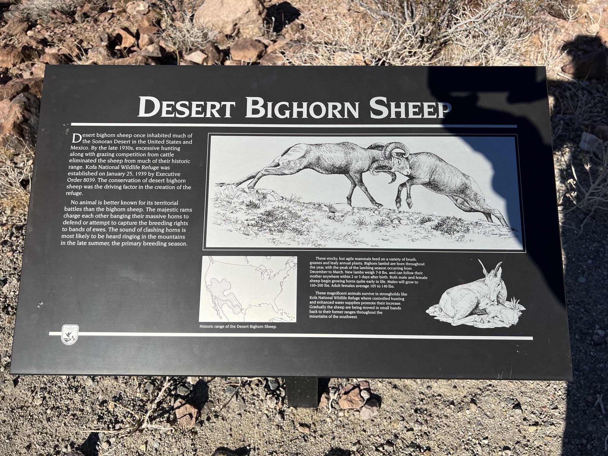 Info sign
