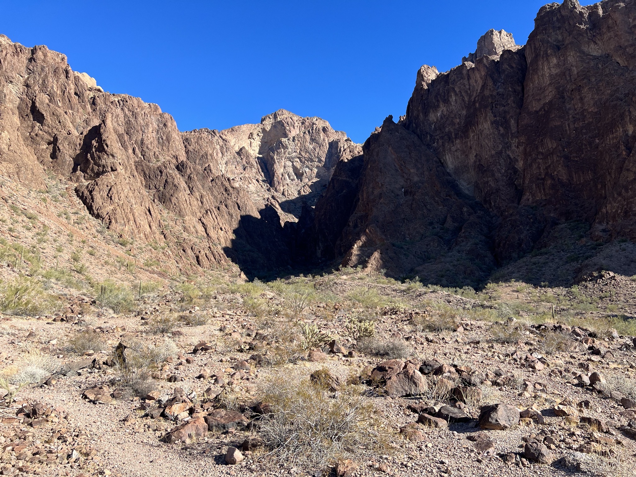 Palm Canyon