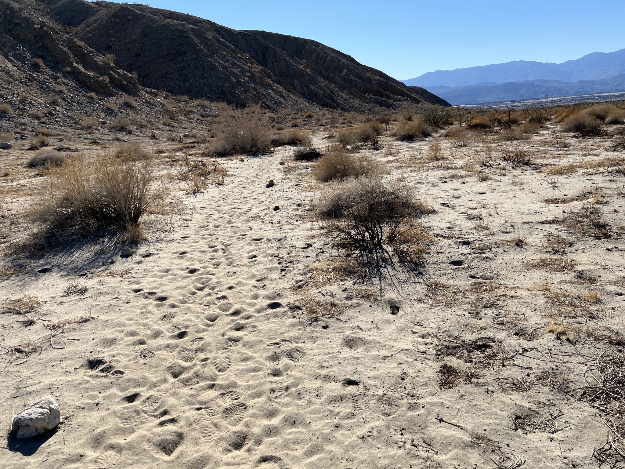 Trail