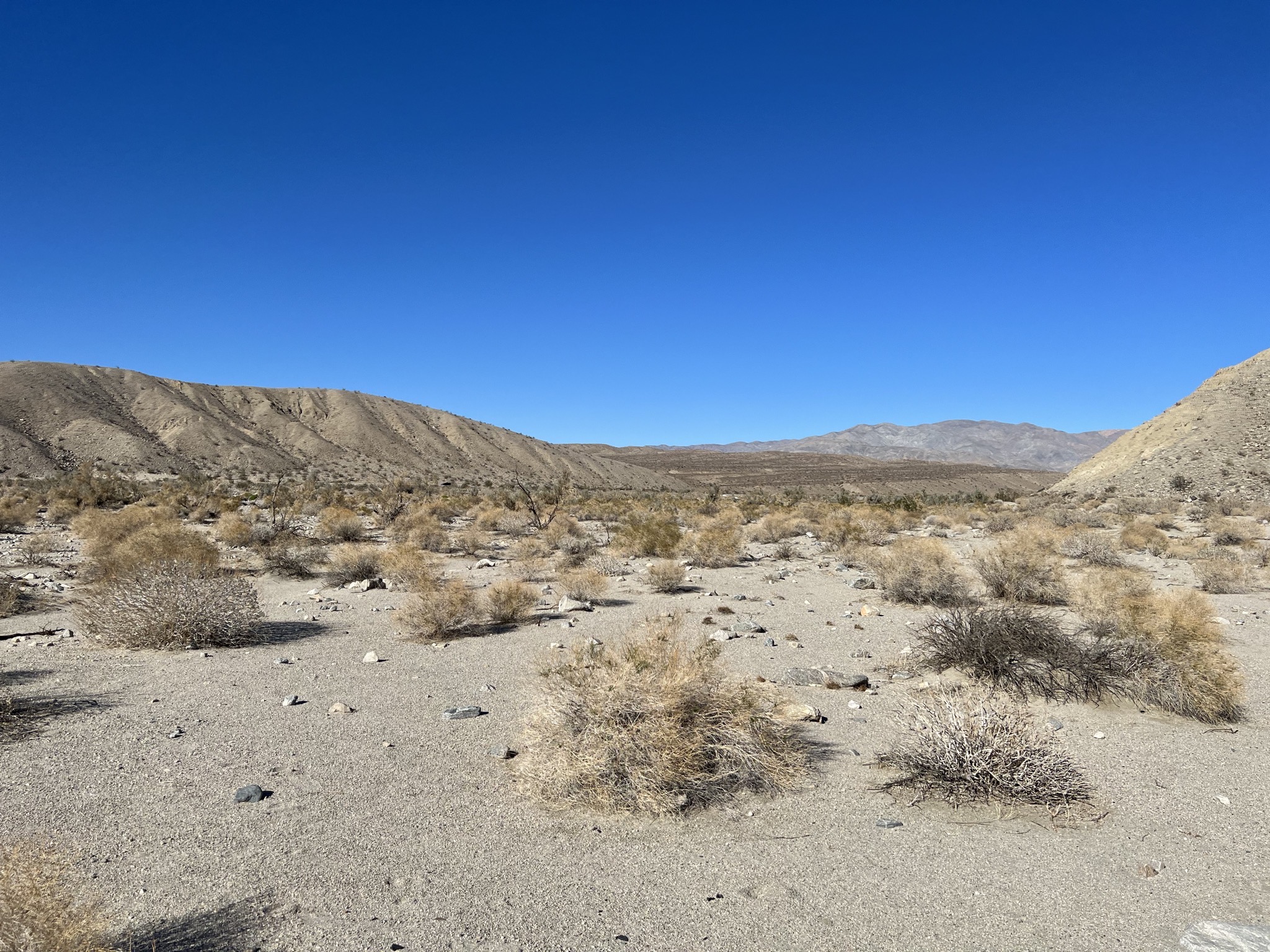 Desert