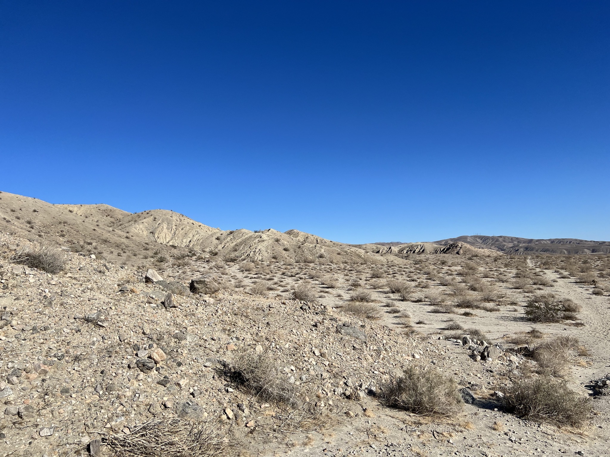 Desert