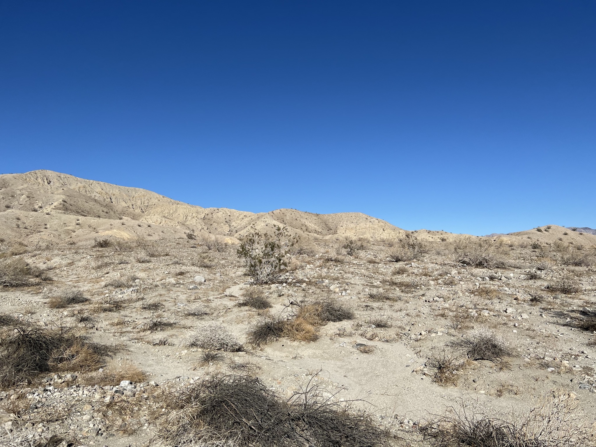 Desert