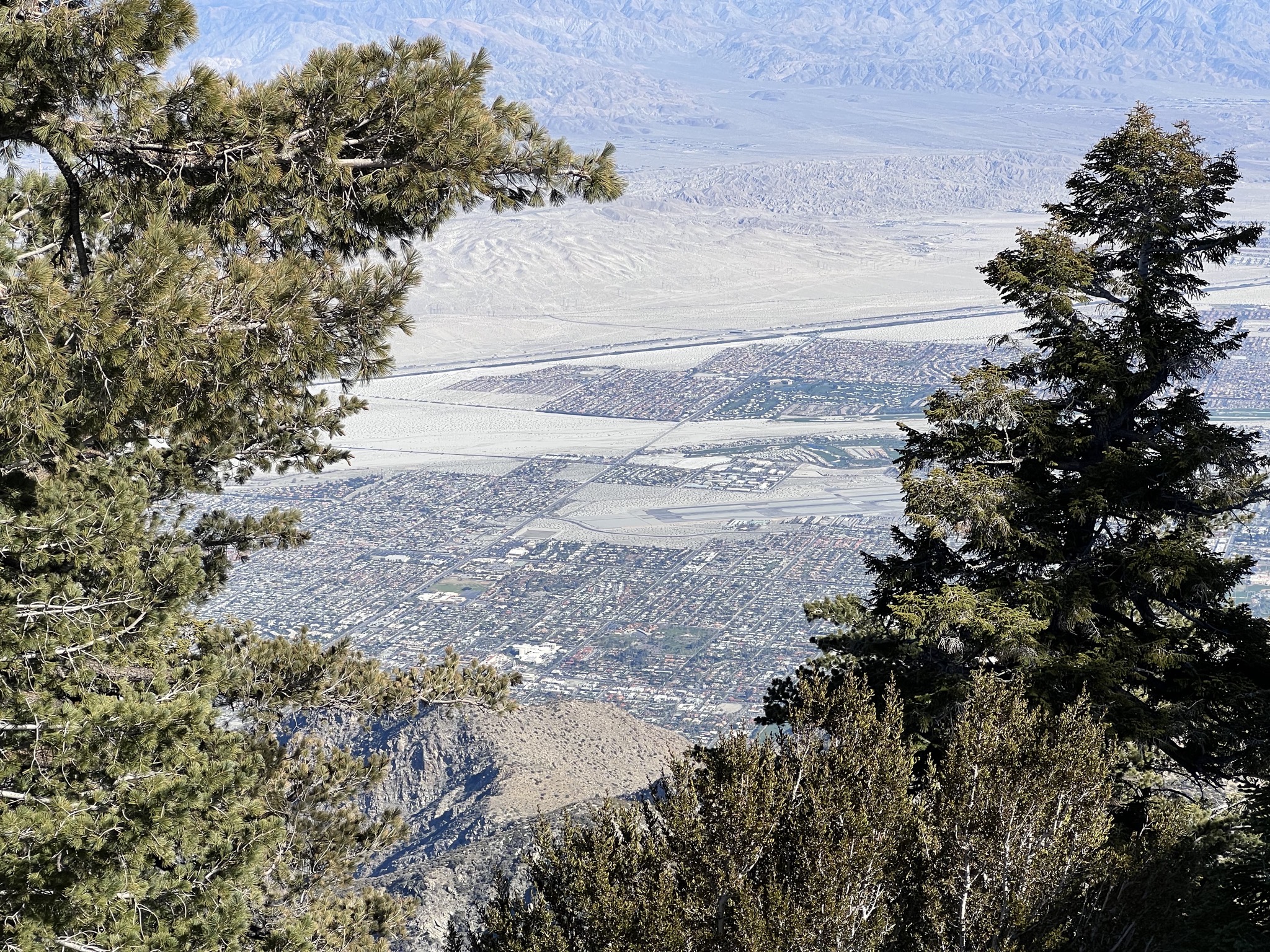 View