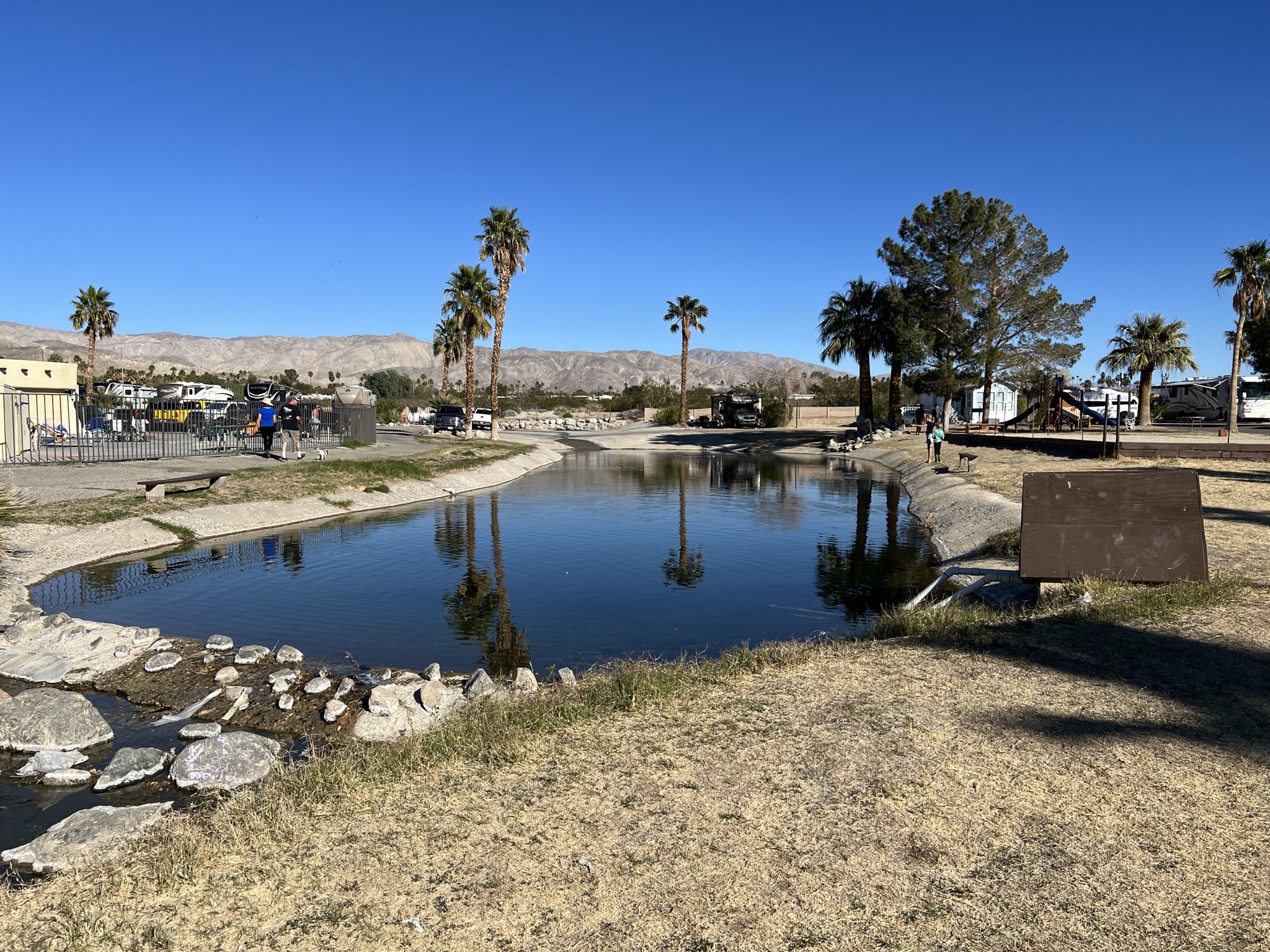 Pond