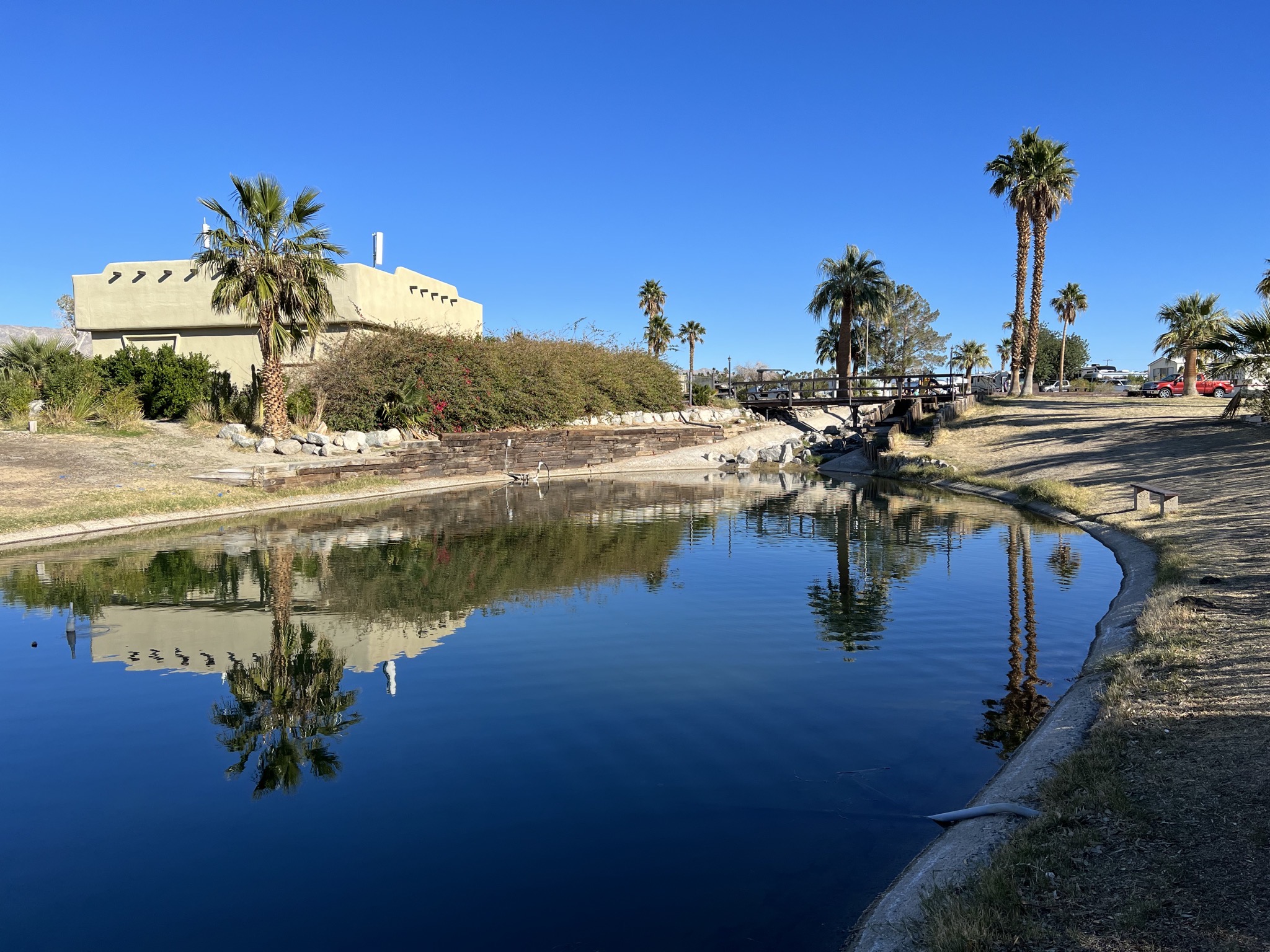 Pond
