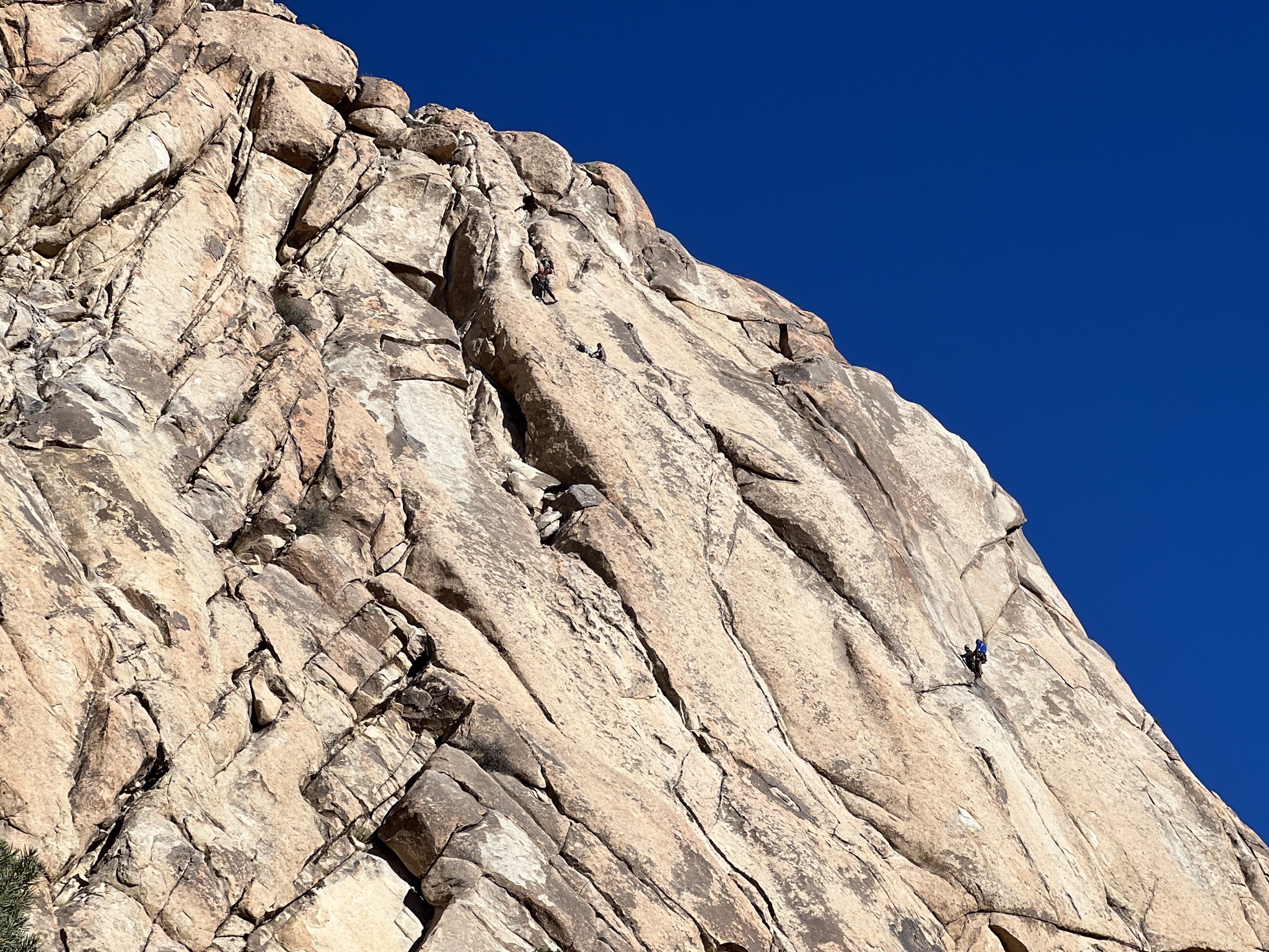 Climbers