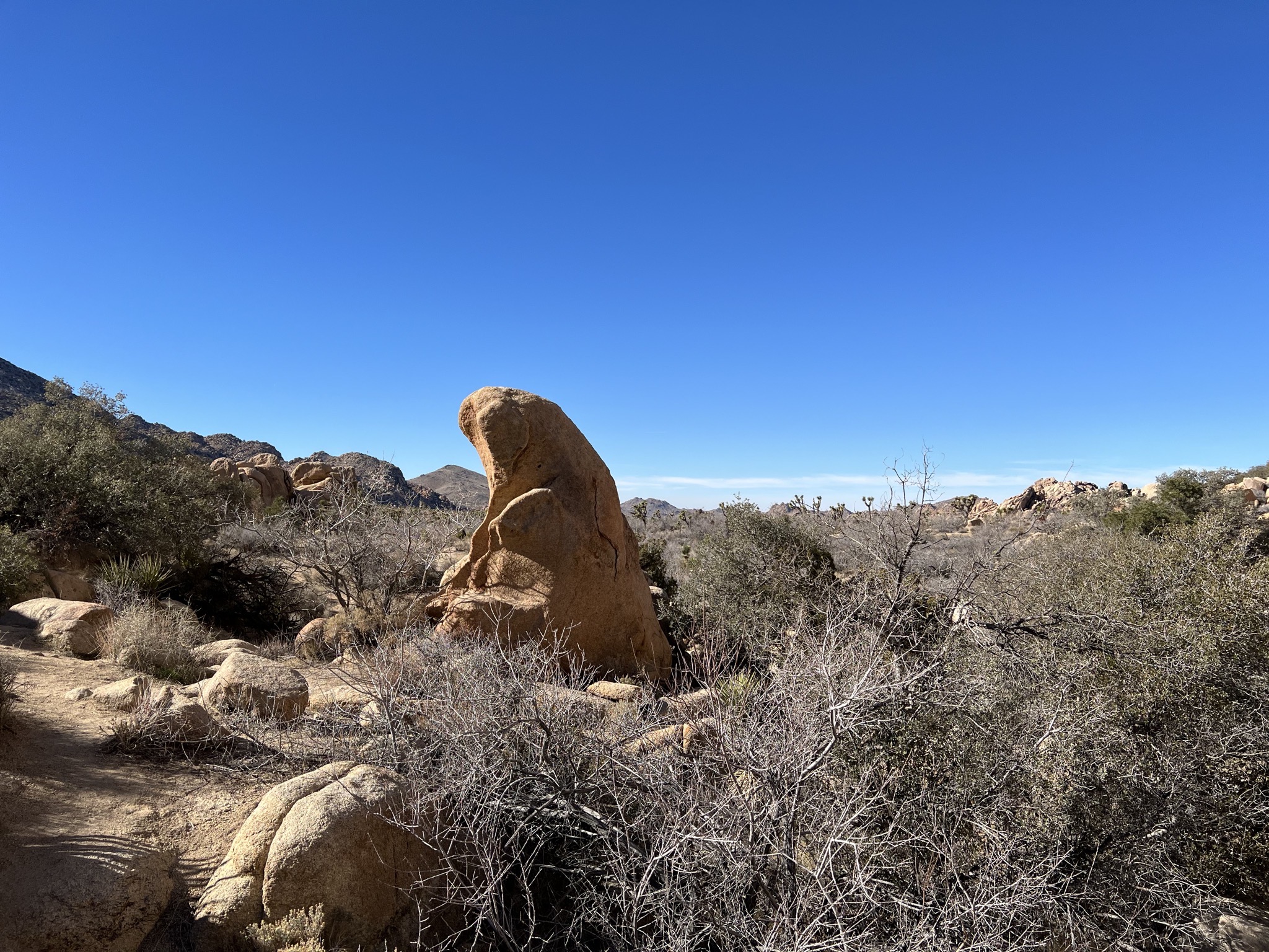 Rocks
