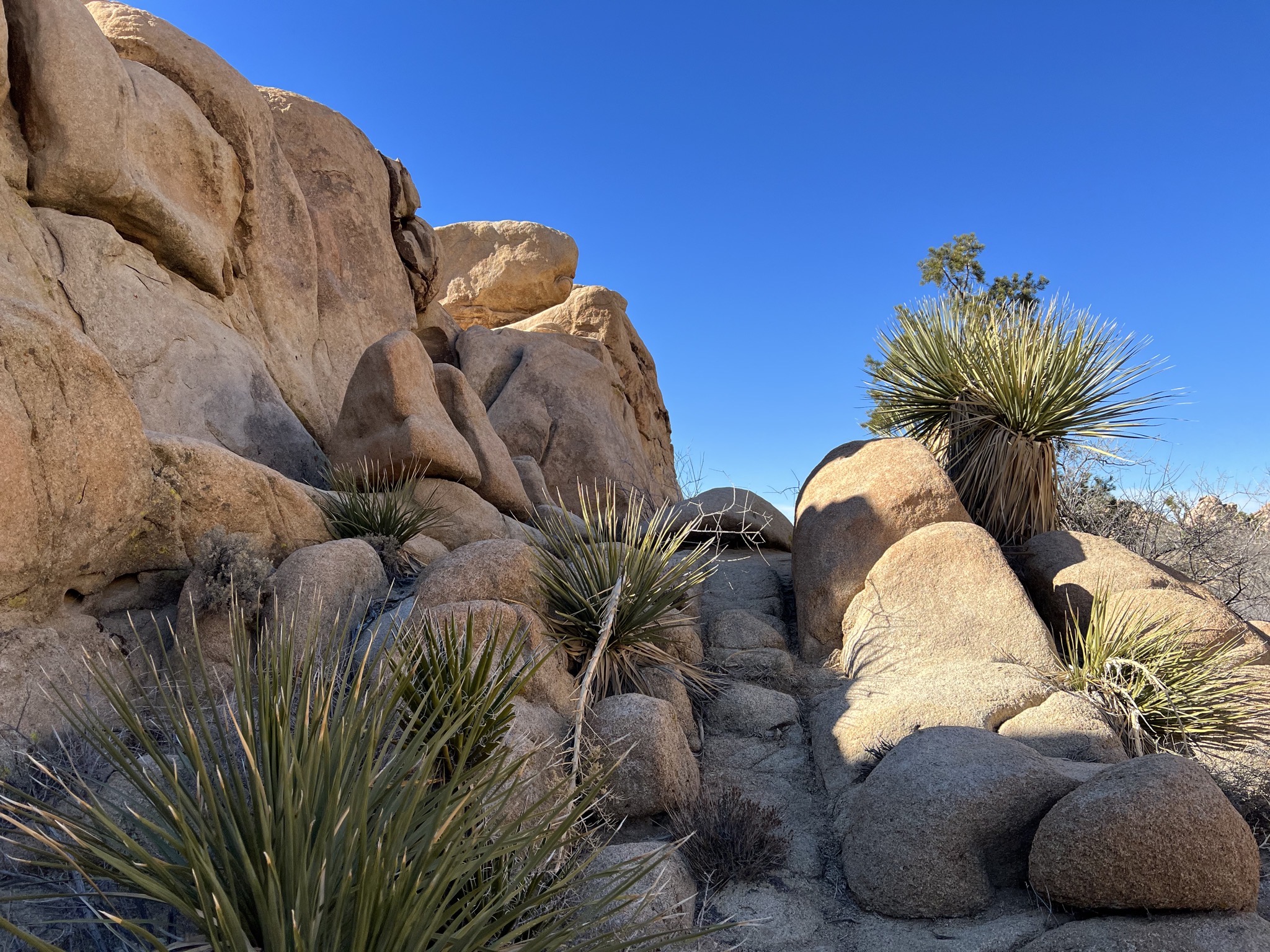 Rocks
