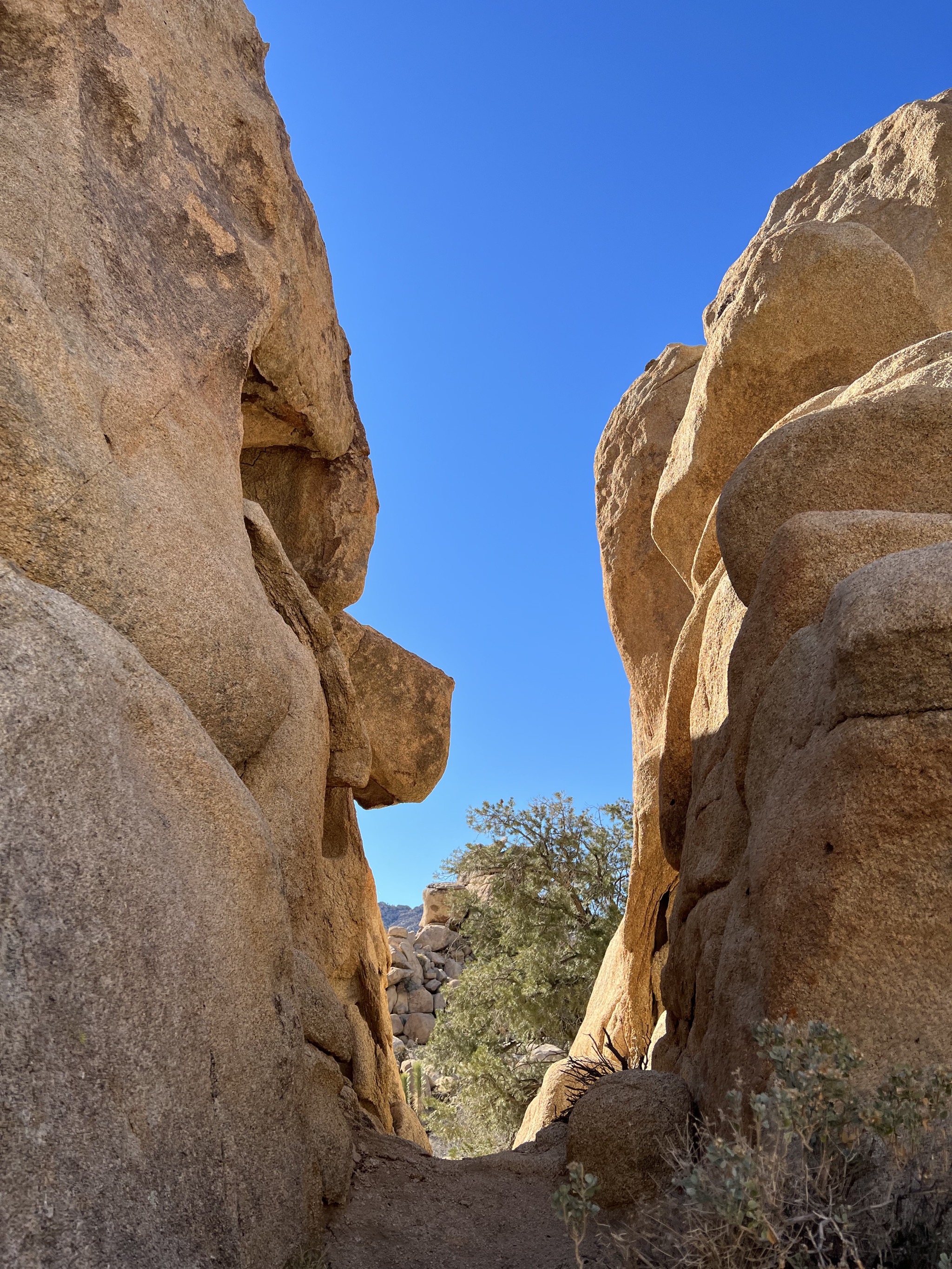 Rocks