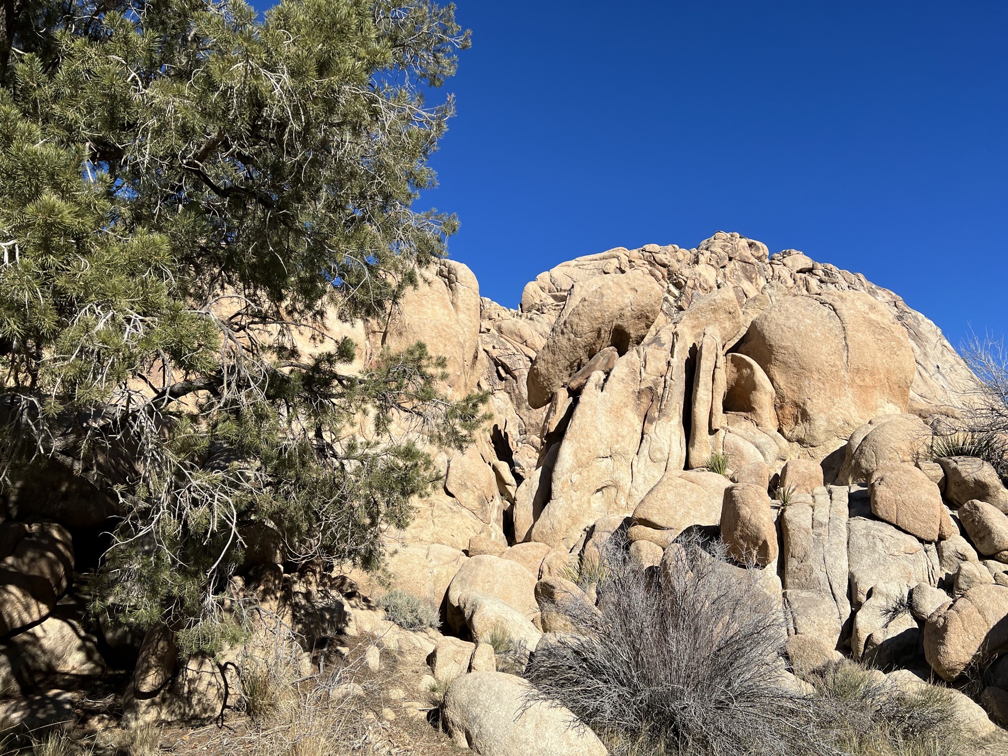 Rocks