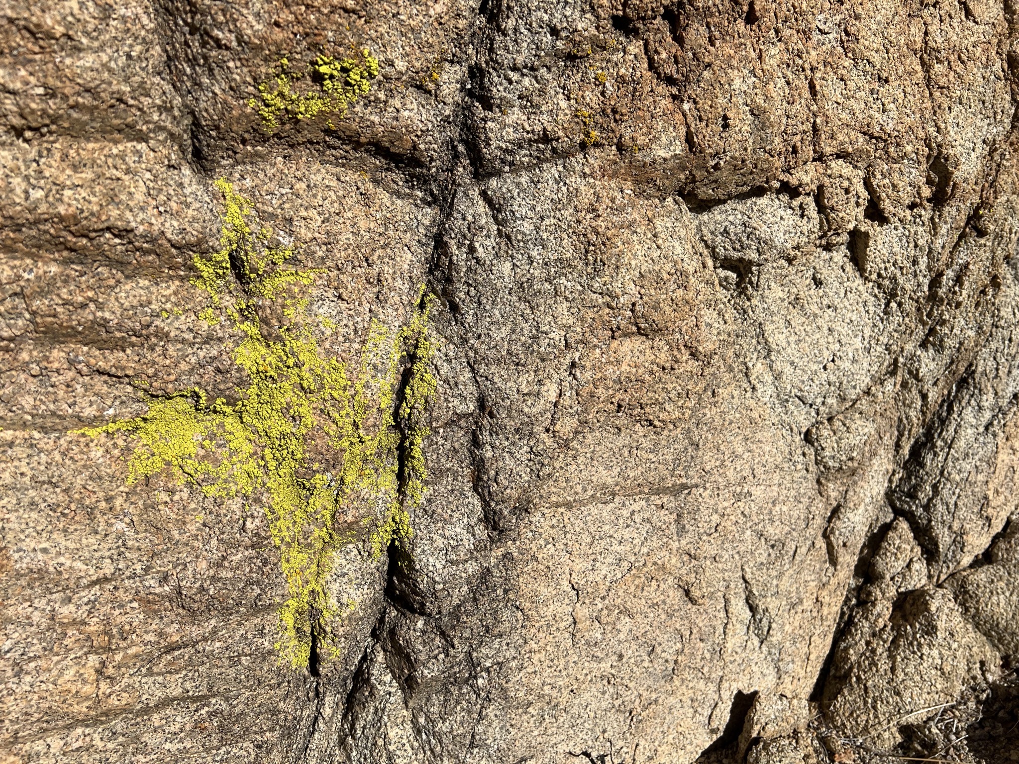 Mossy rock