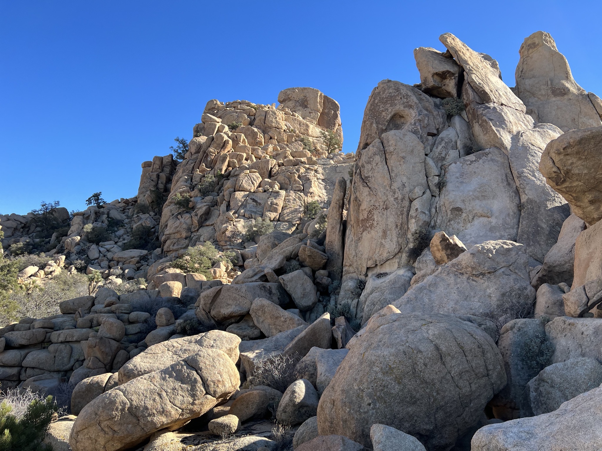 Rocks