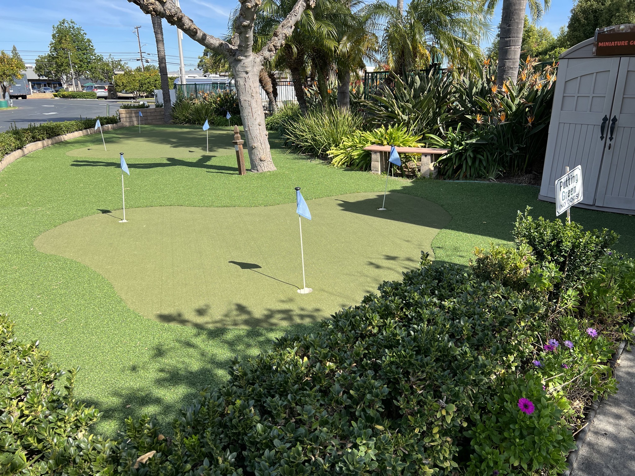 Putting green