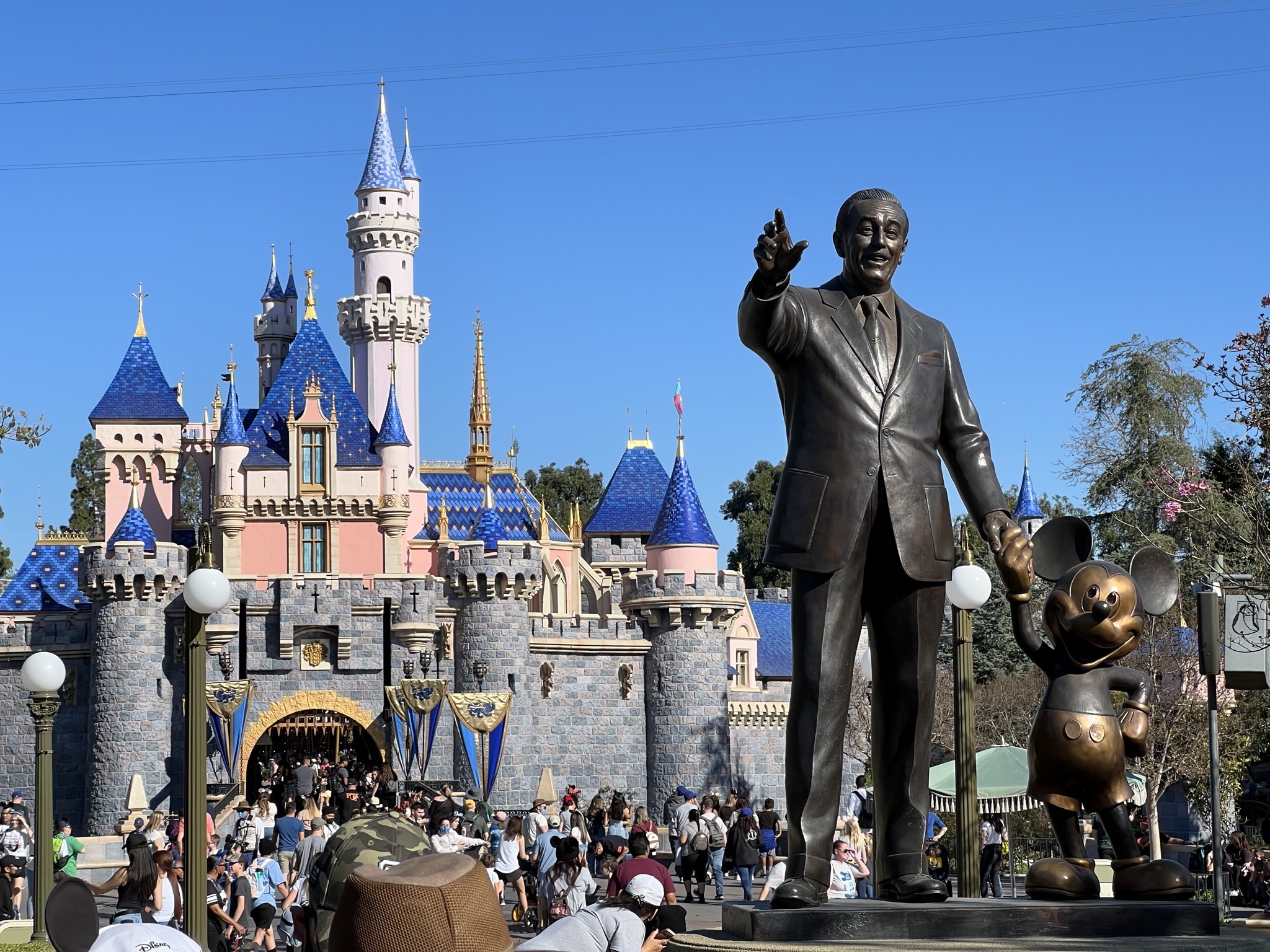 Castle and Disney