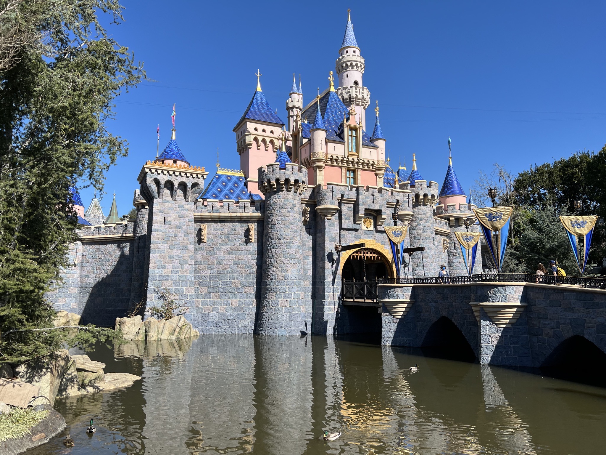 Castle and ducks