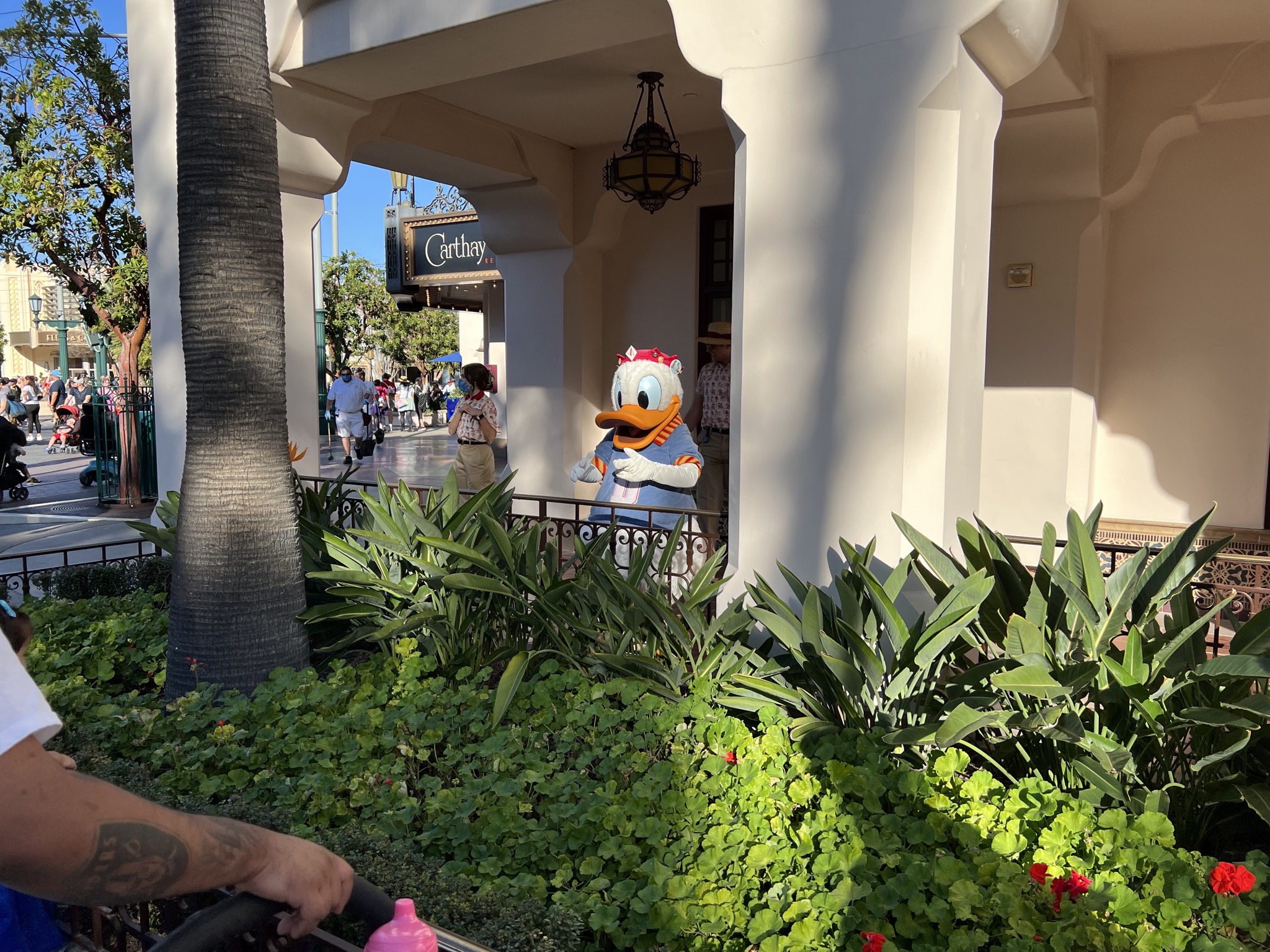 Donald Duck