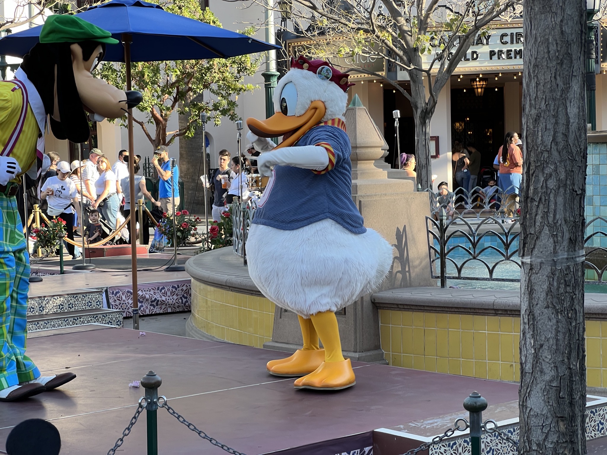 Donald Duck