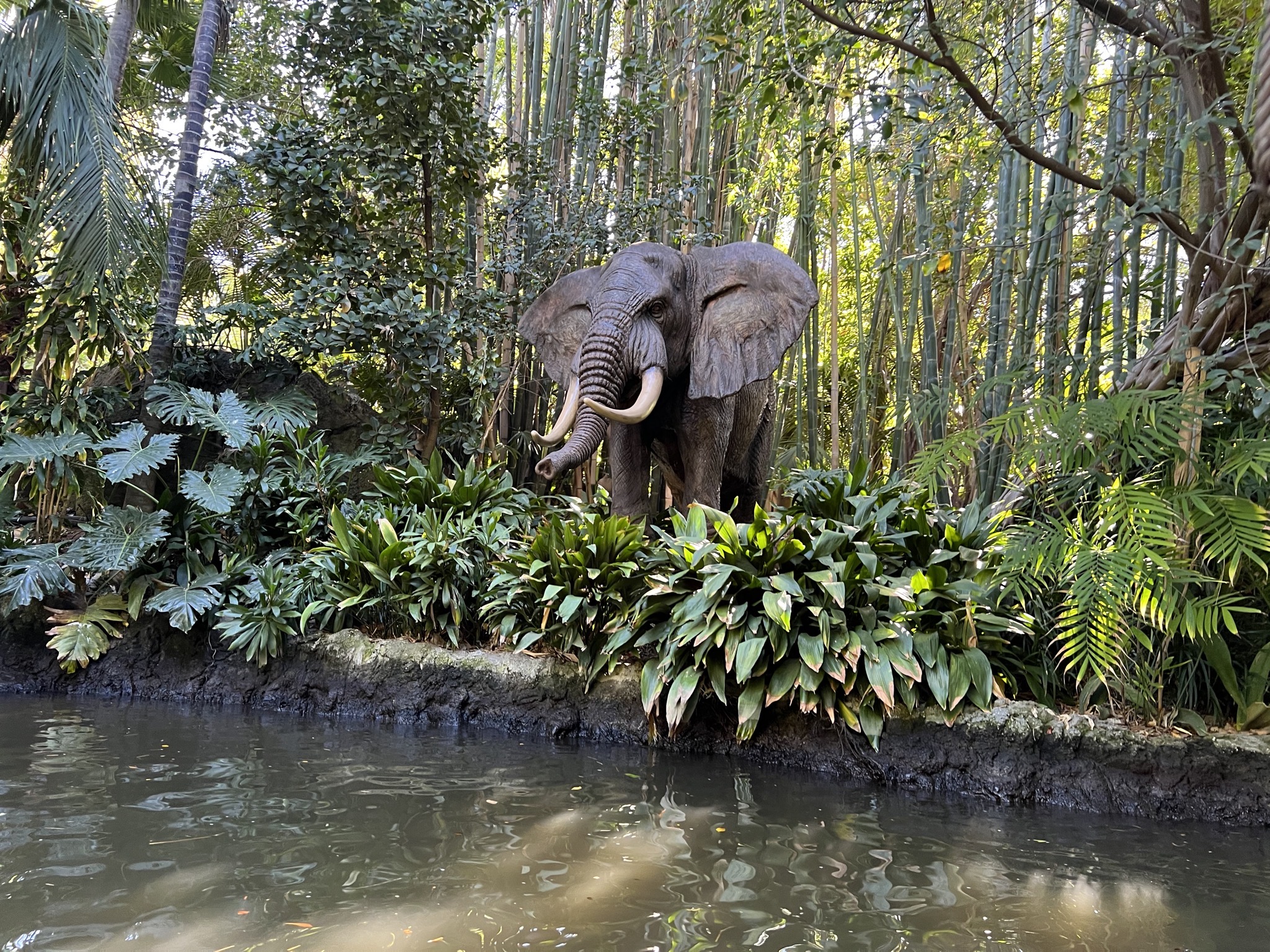 Jungle cruise
