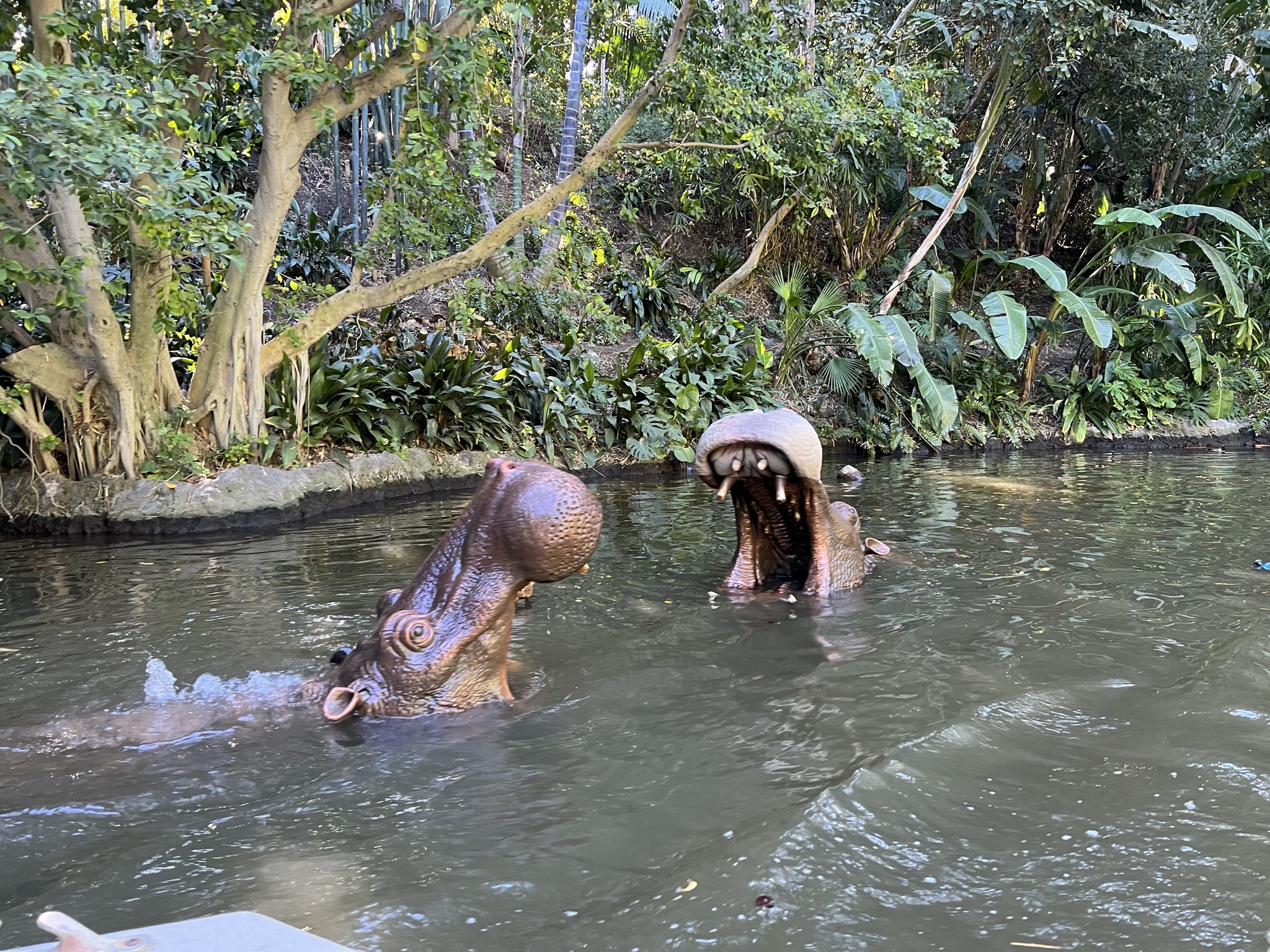 Jungle cruise