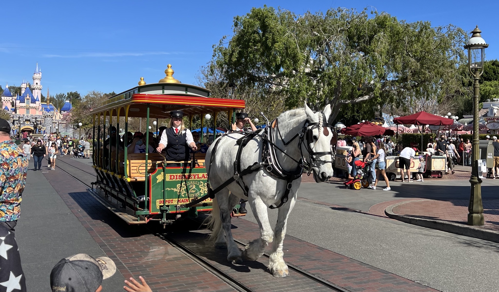 Horse and trolly