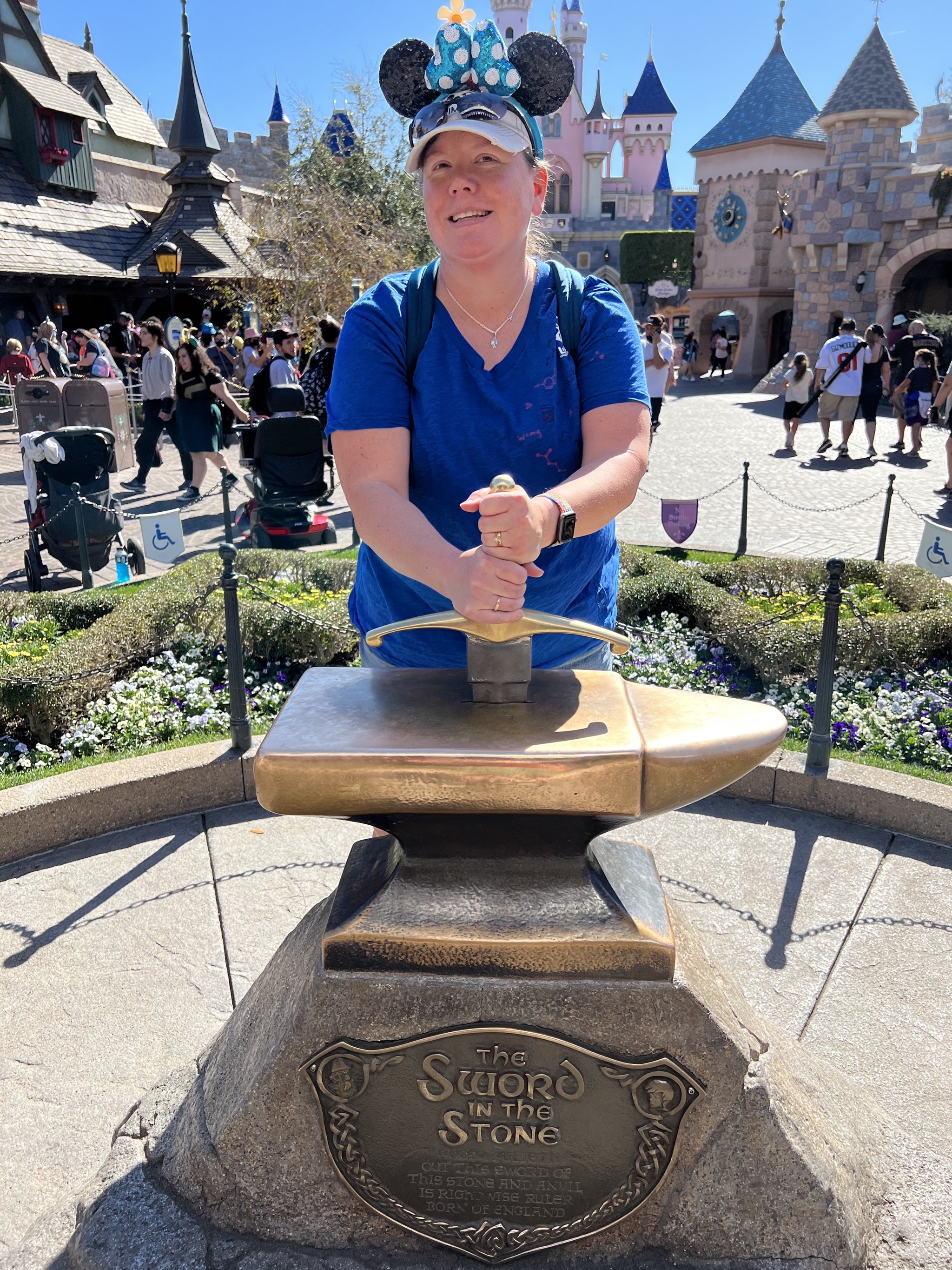Sword in the Stone