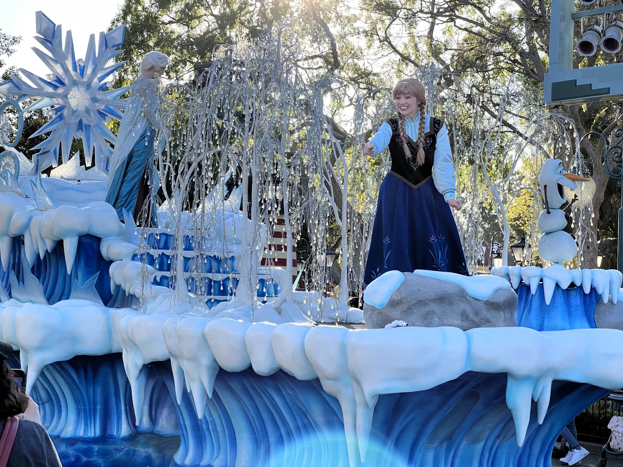 Frozen float