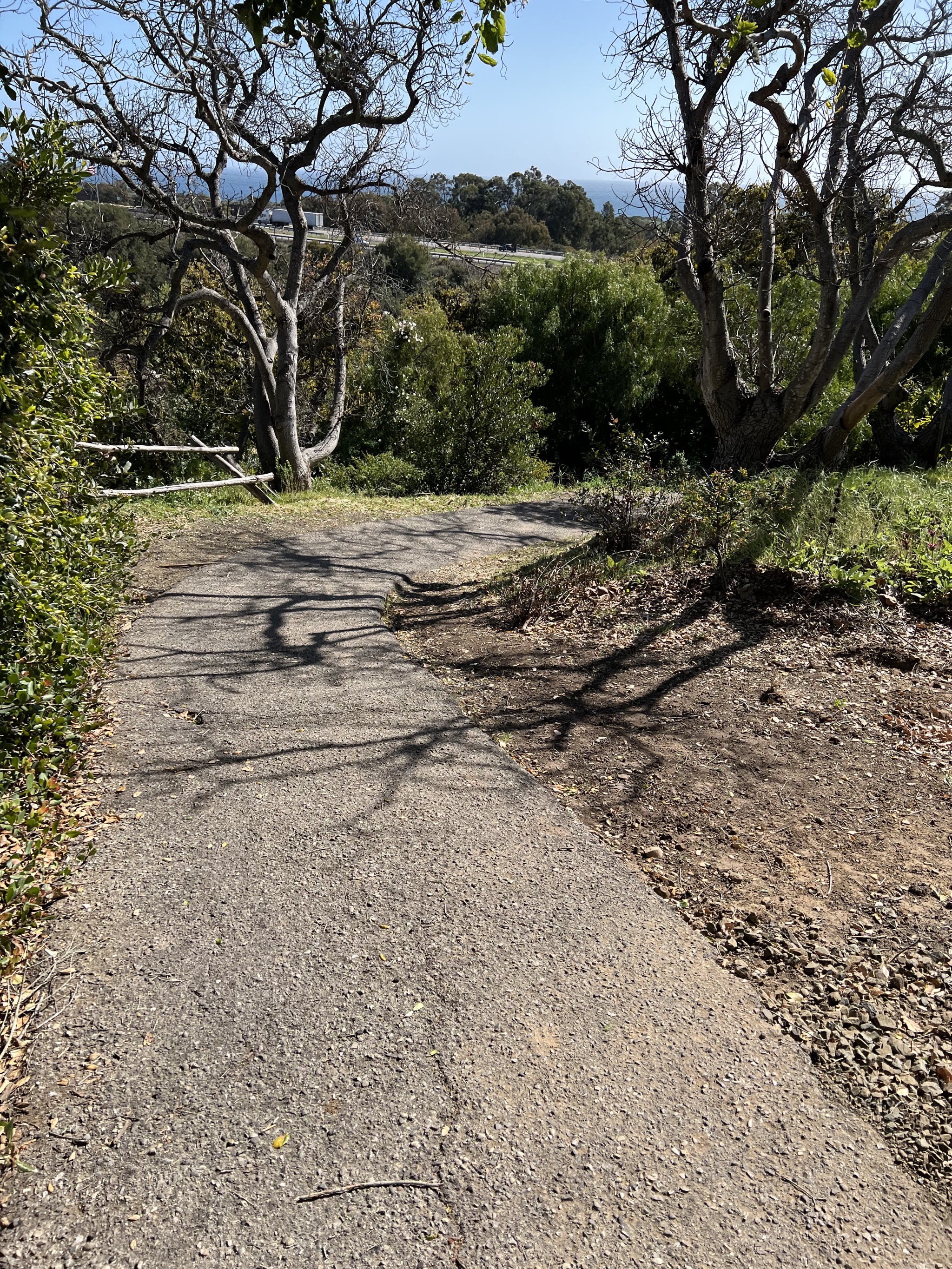 Path