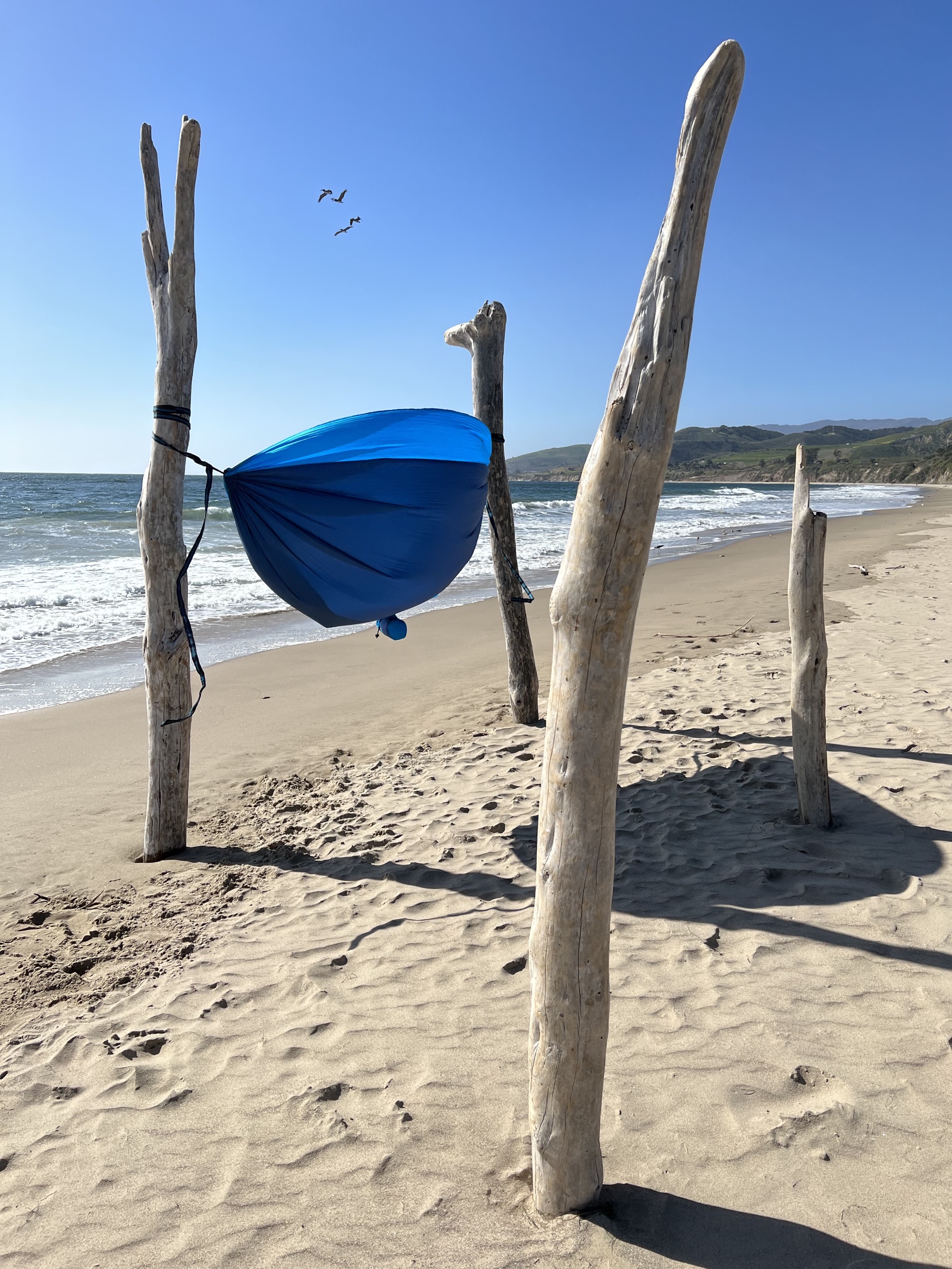 Hammock and birds
