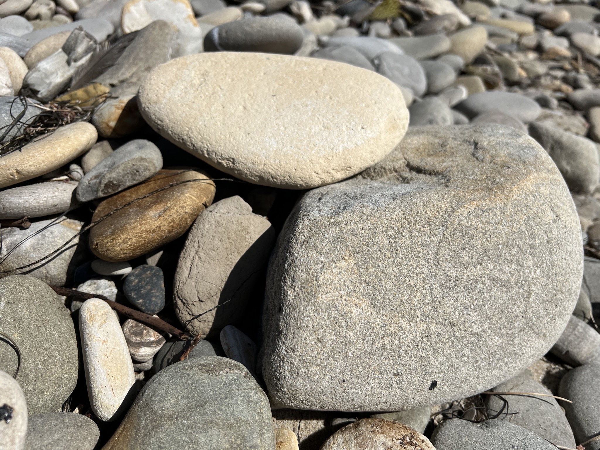 Rocks