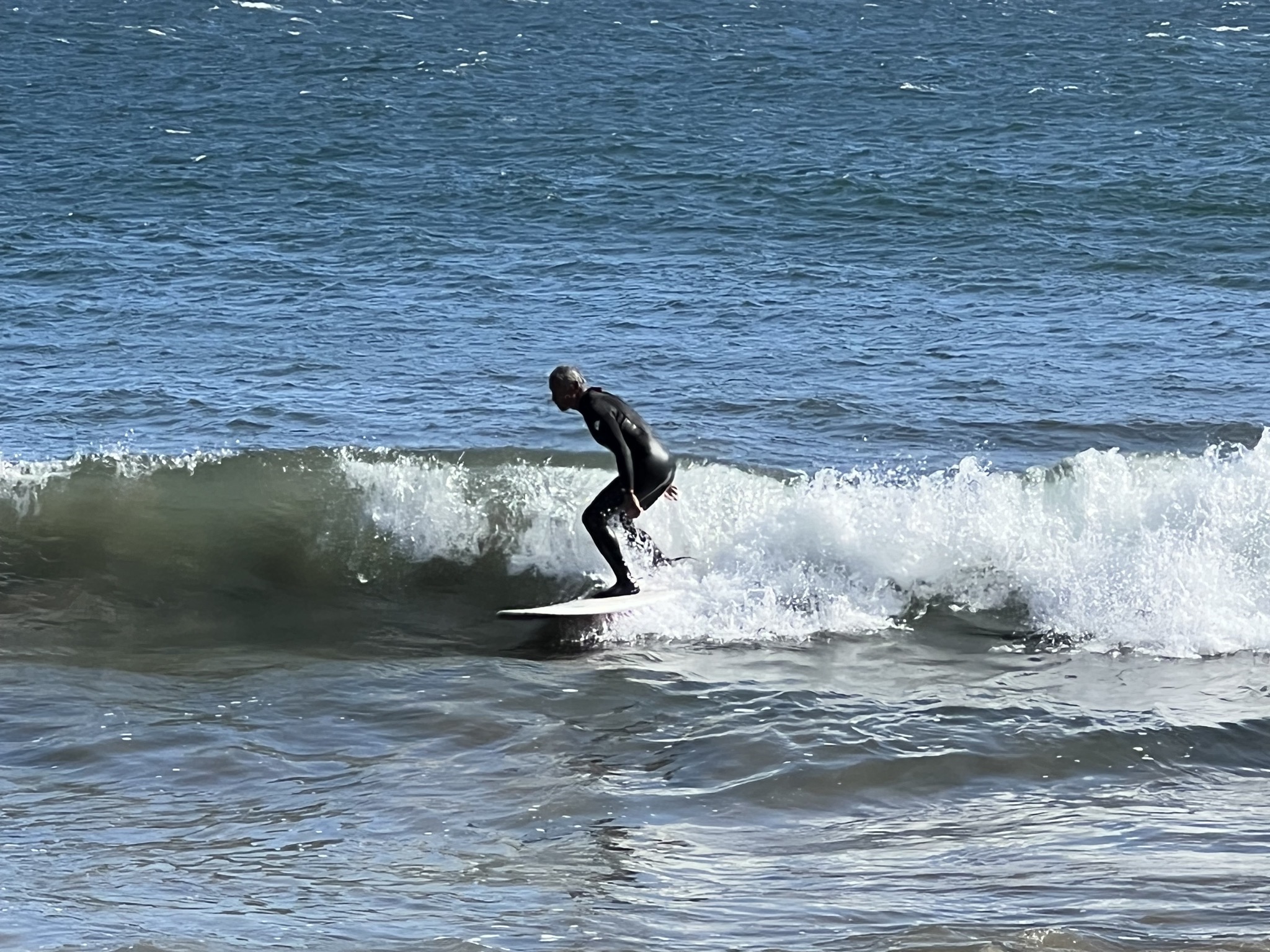 Surfer