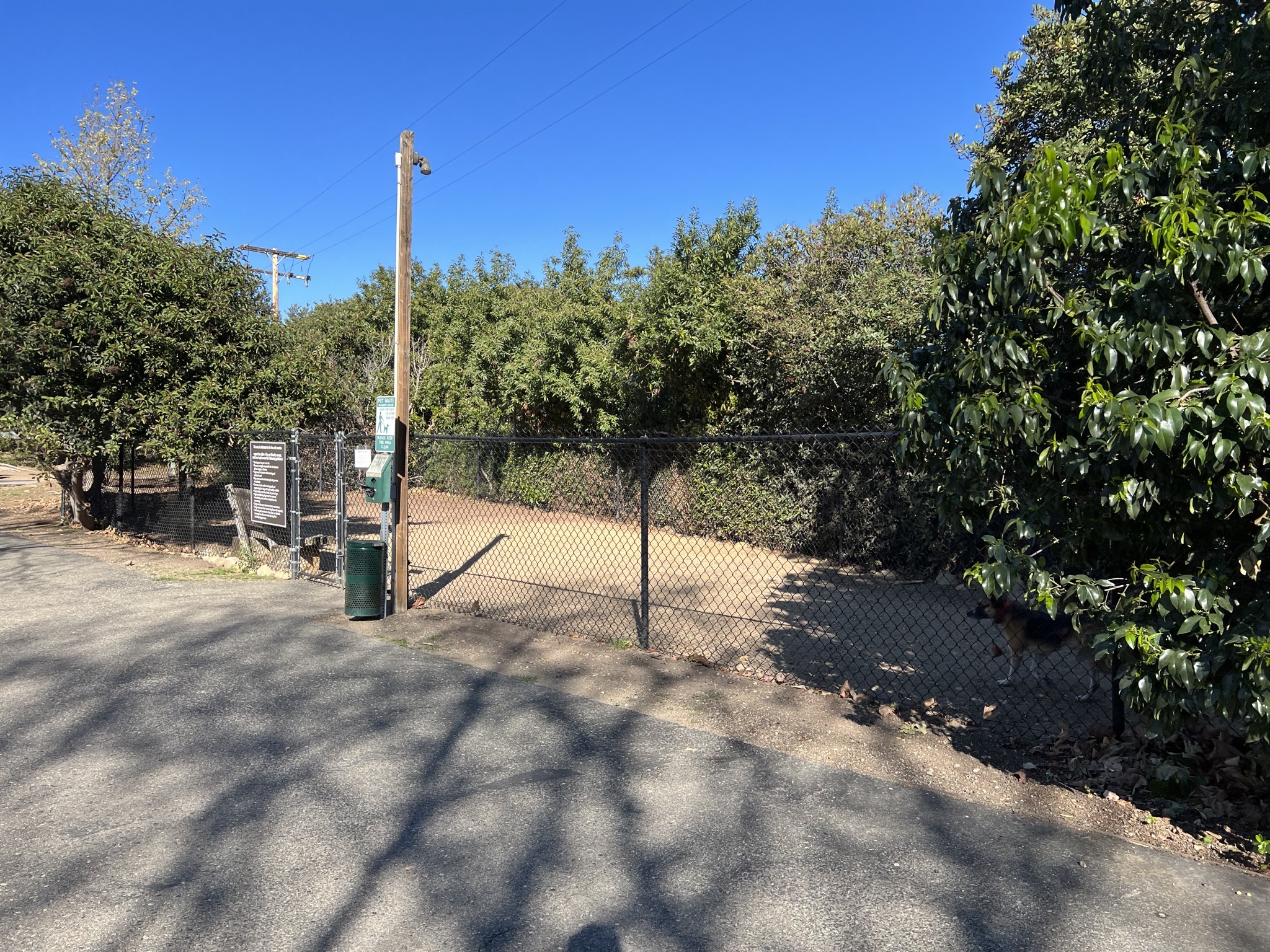Dog area